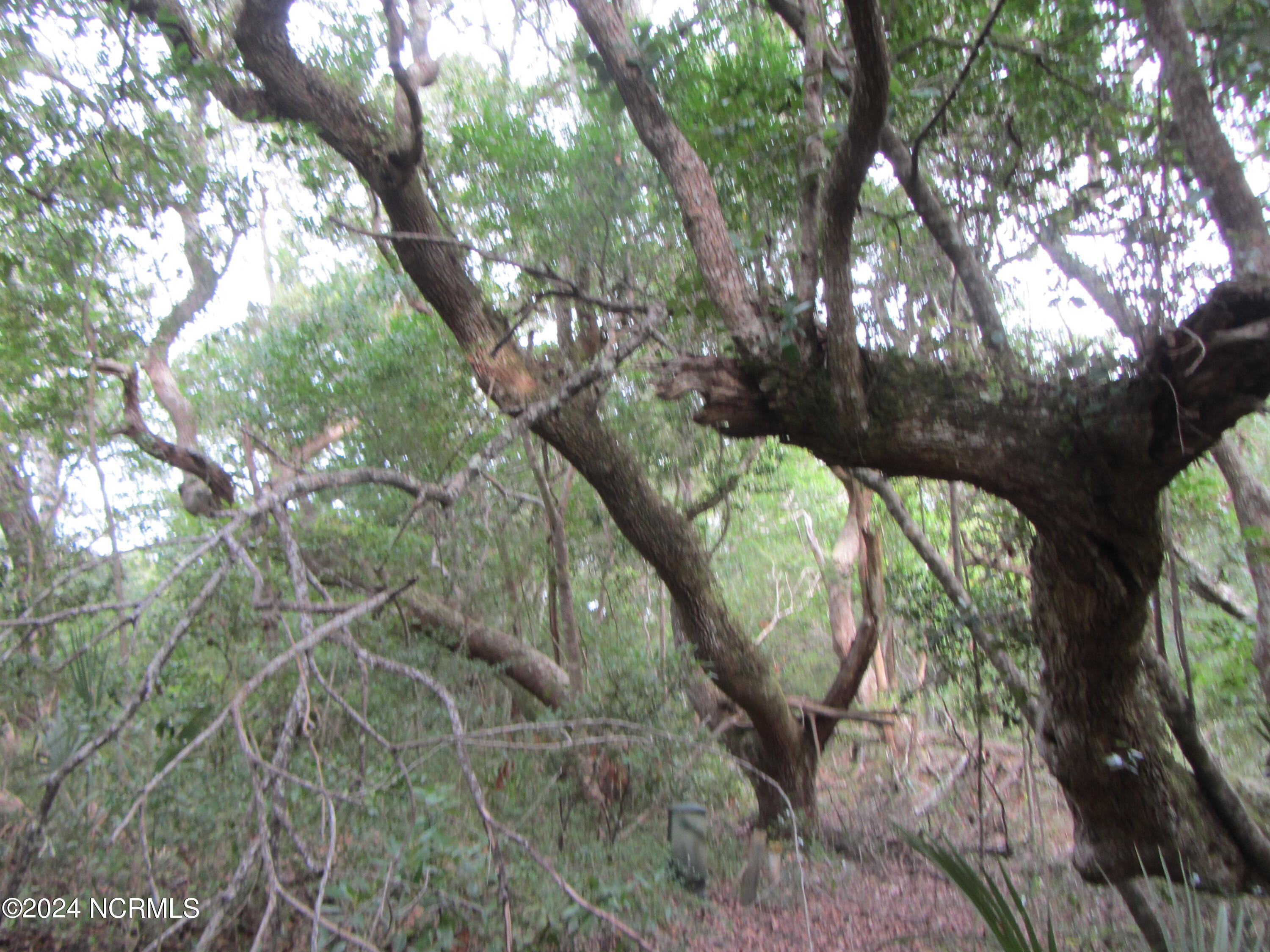 8 Leopard Frog Court Property Photo 2