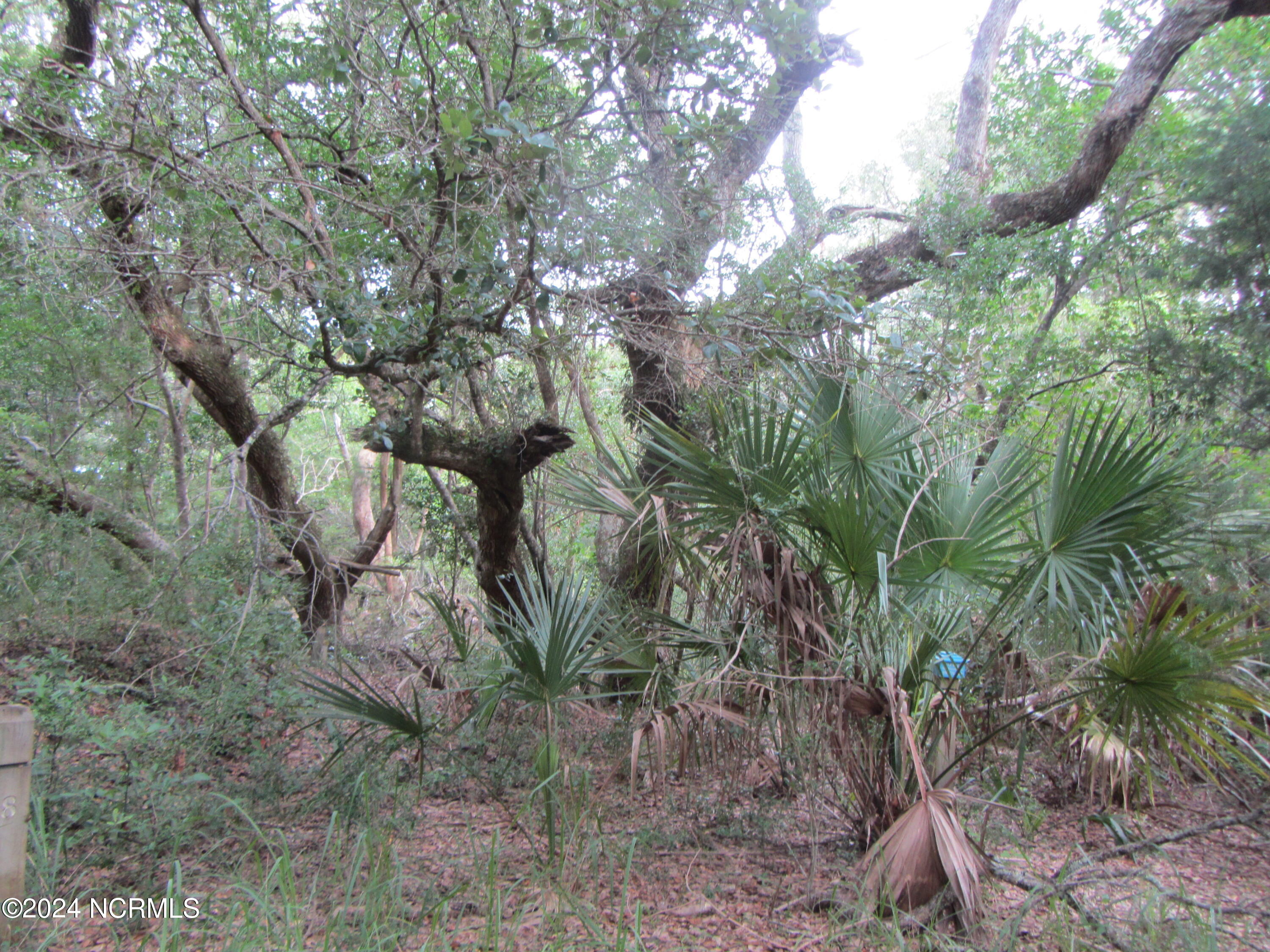 8 Leopard Frog Court Property Photo 5