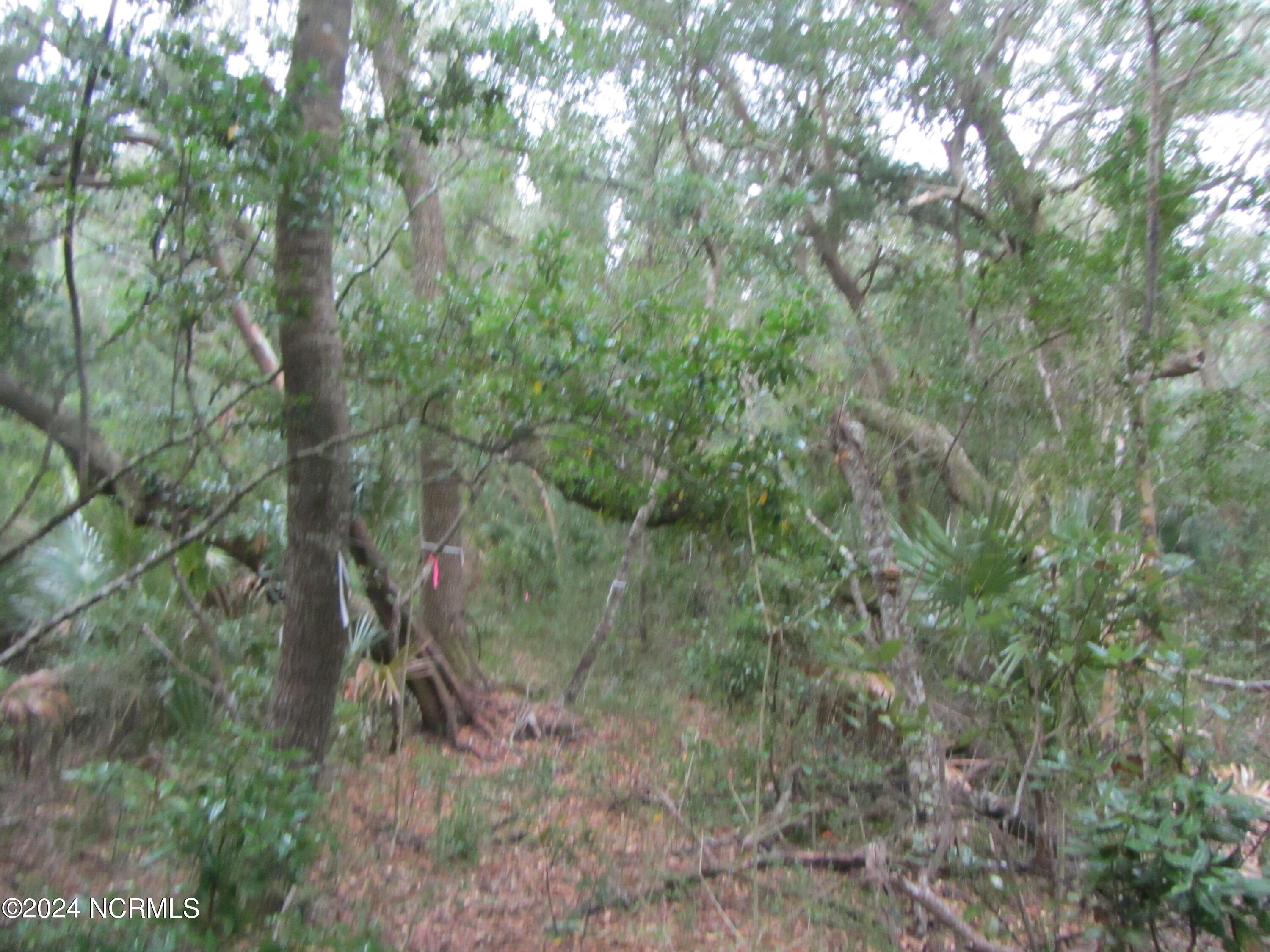 8 Leopard Frog Court Property Photo 6