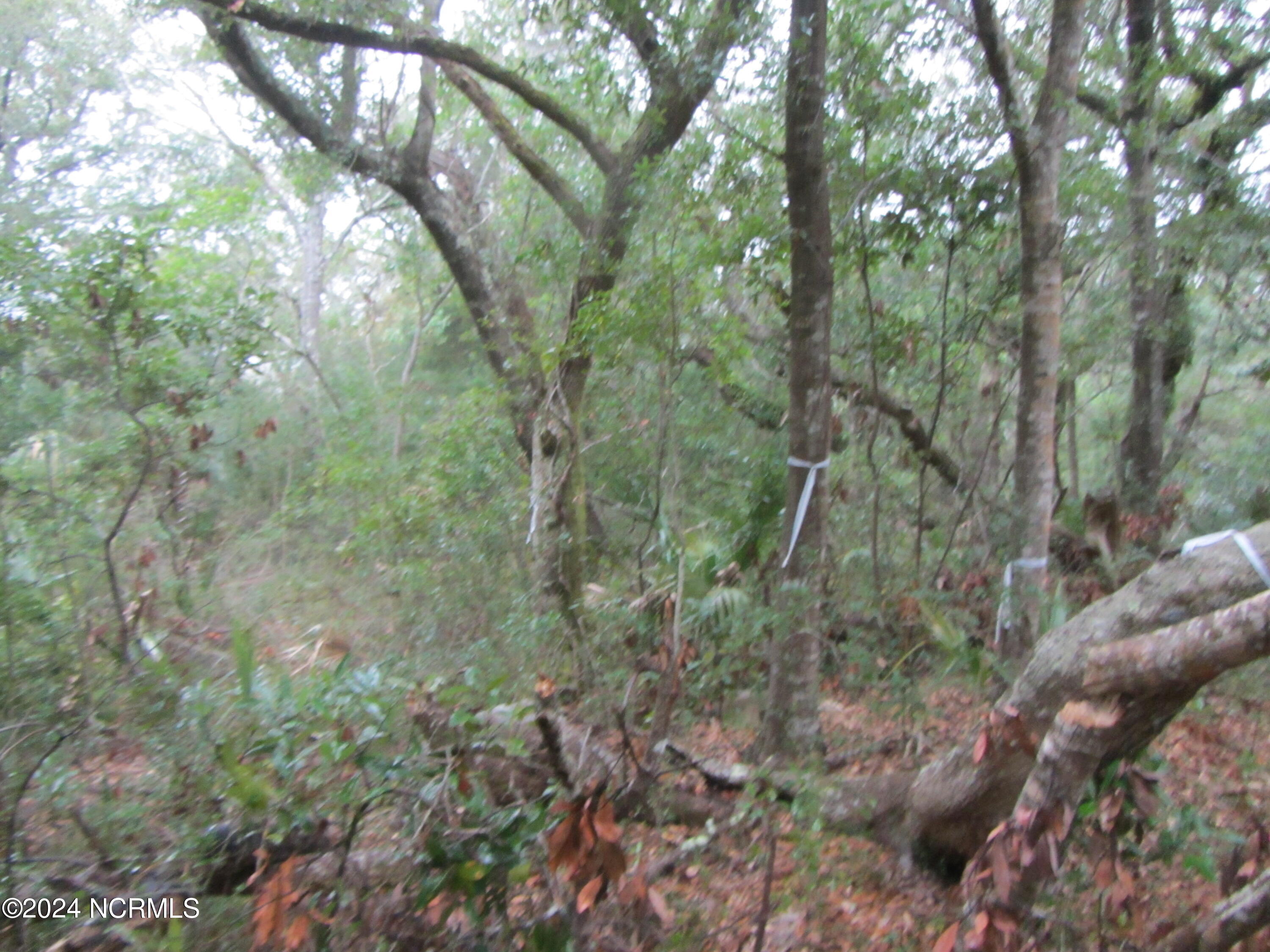 8 Leopard Frog Court Property Photo 7