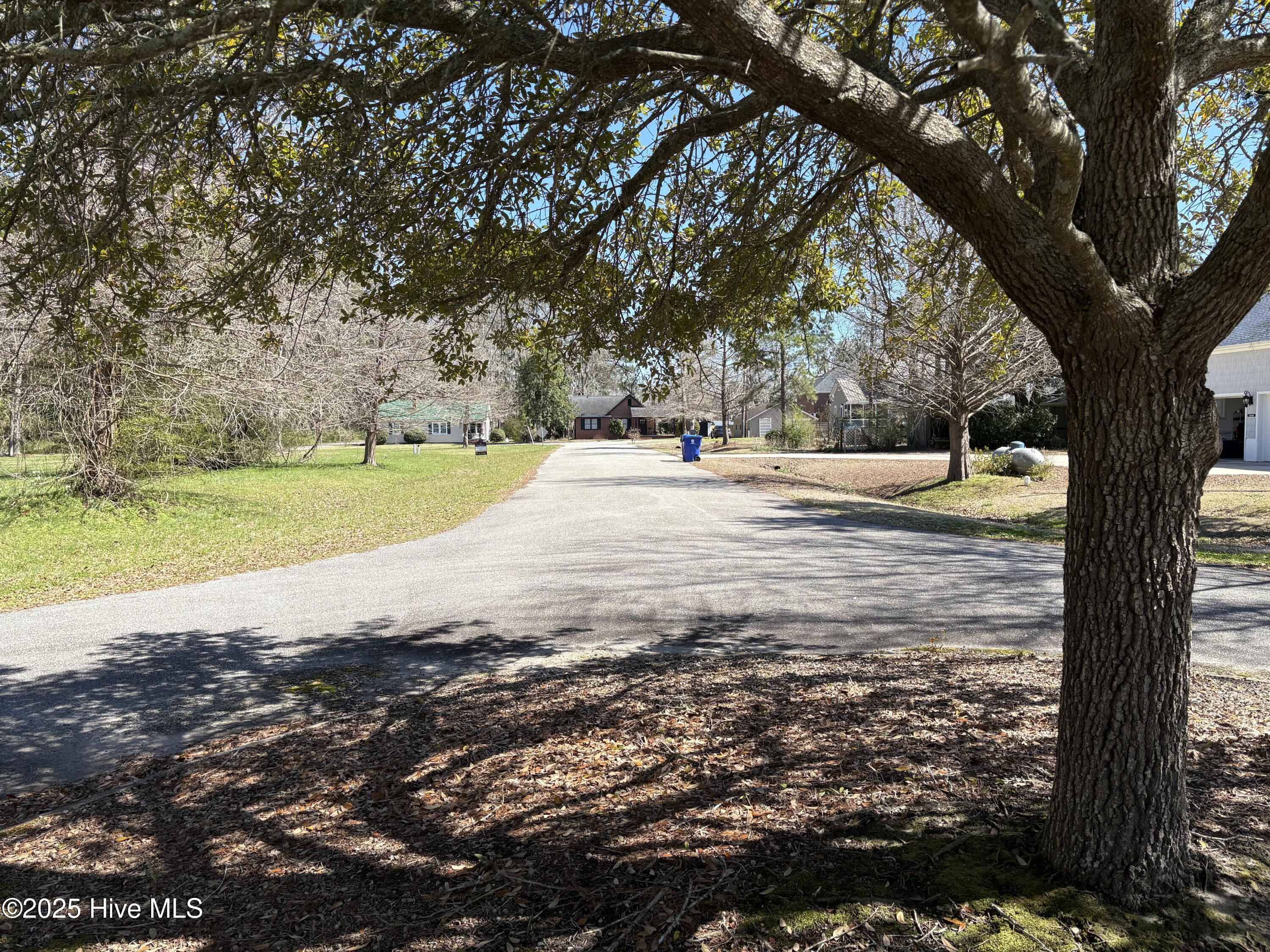 4 Live Oak Circle Property Photo 7