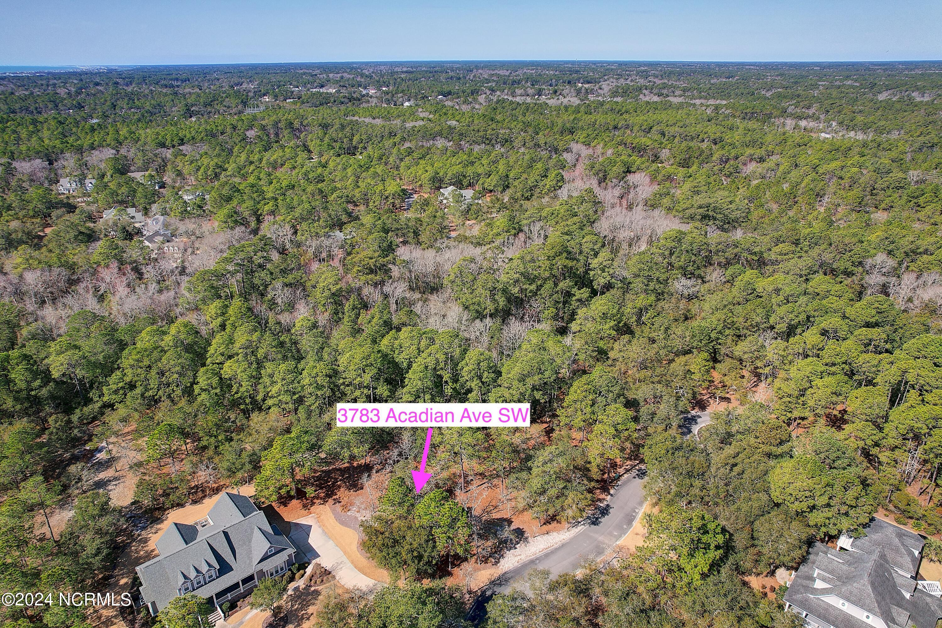 3763 Acadian Avenue Property Photo 10