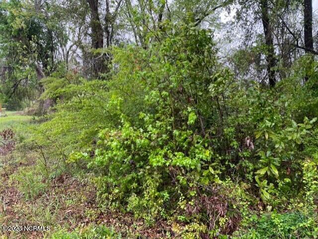 0 Kennedy Drive Property Photo 5