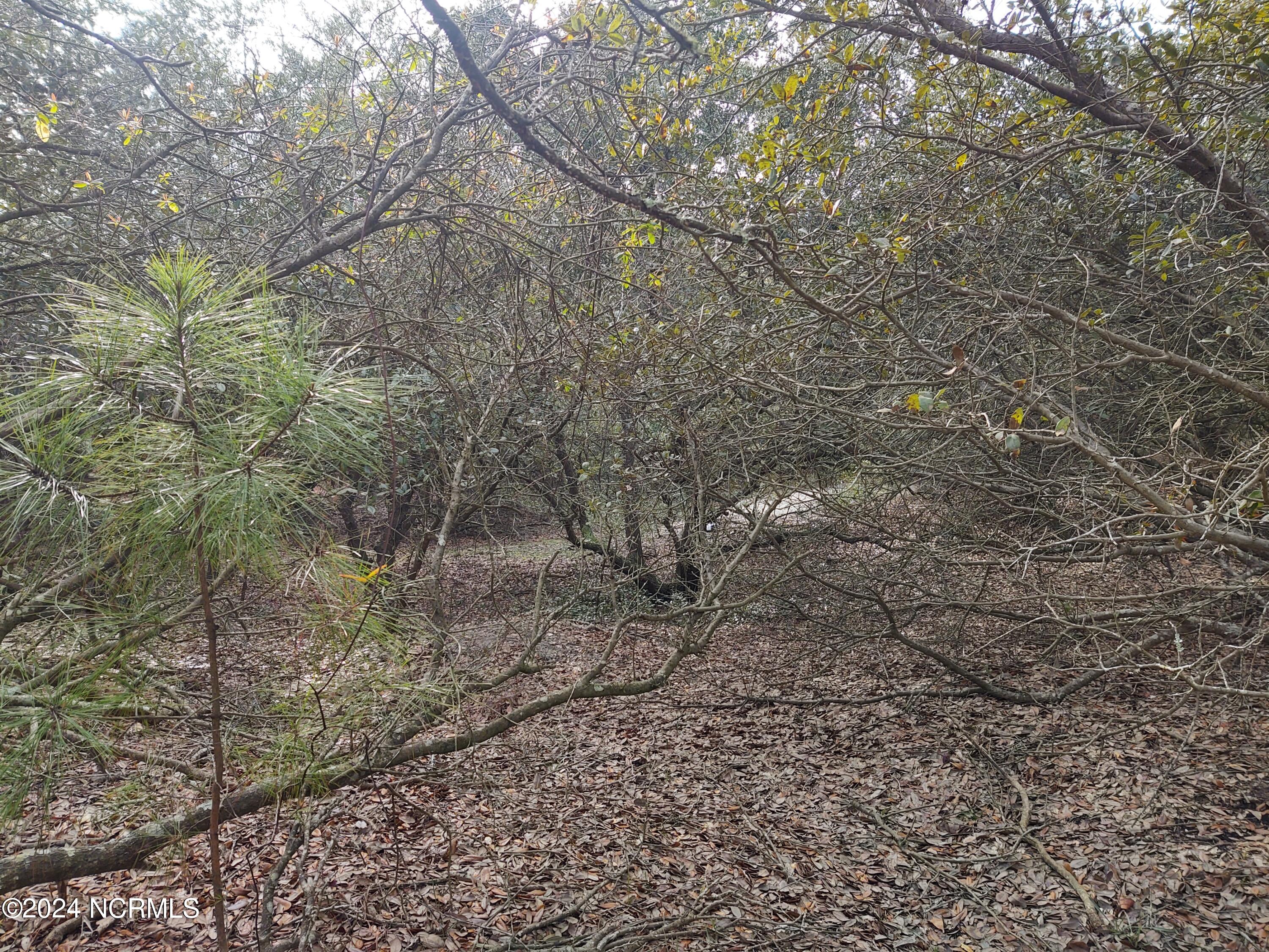 2356 Sandpiper Road Property Photo 19