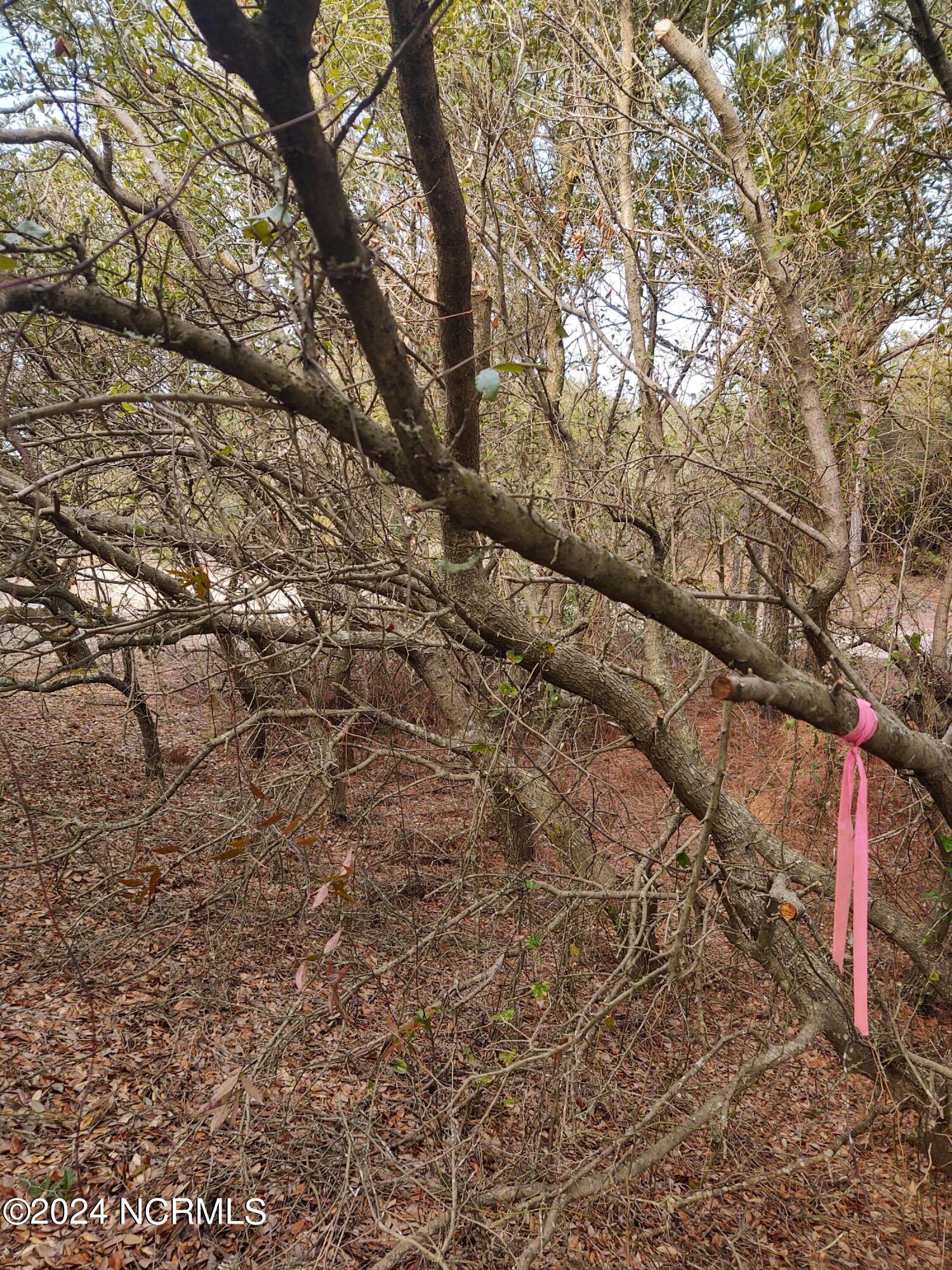2356 Sandpiper Road Property Photo 20