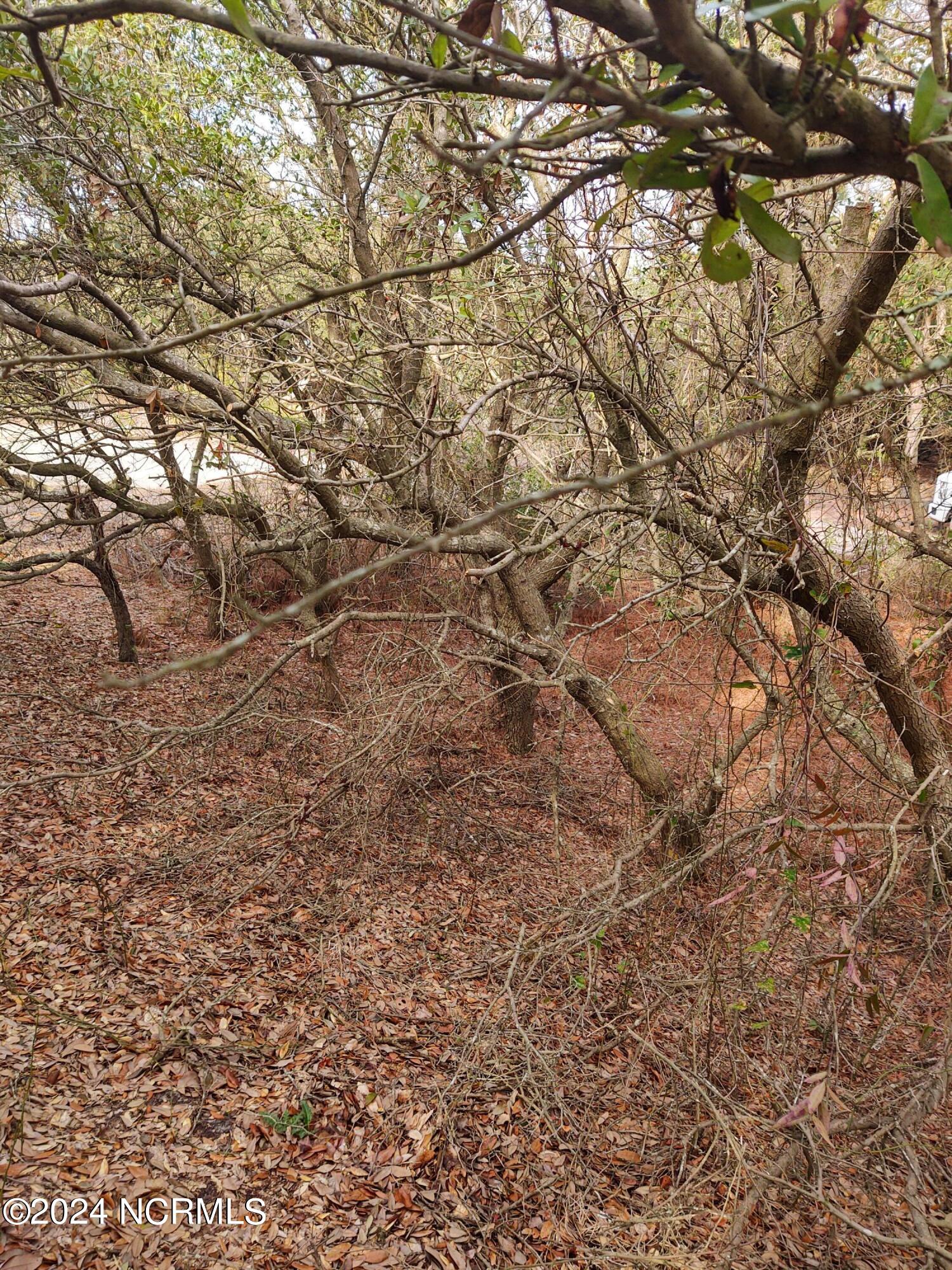 2356 Sandpiper Road Property Photo 21