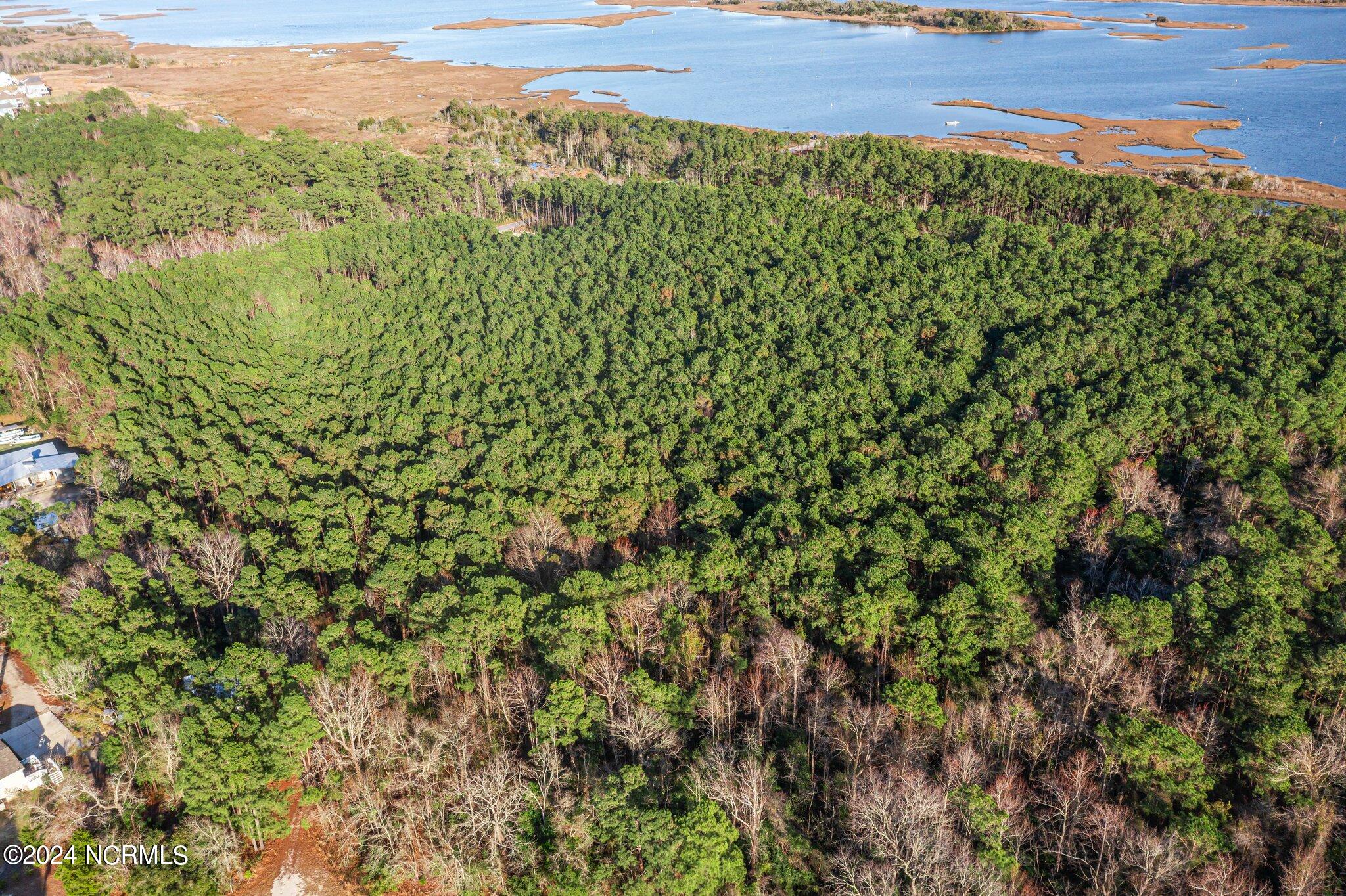 Tract 14 Old Landing Road Property Photo 2