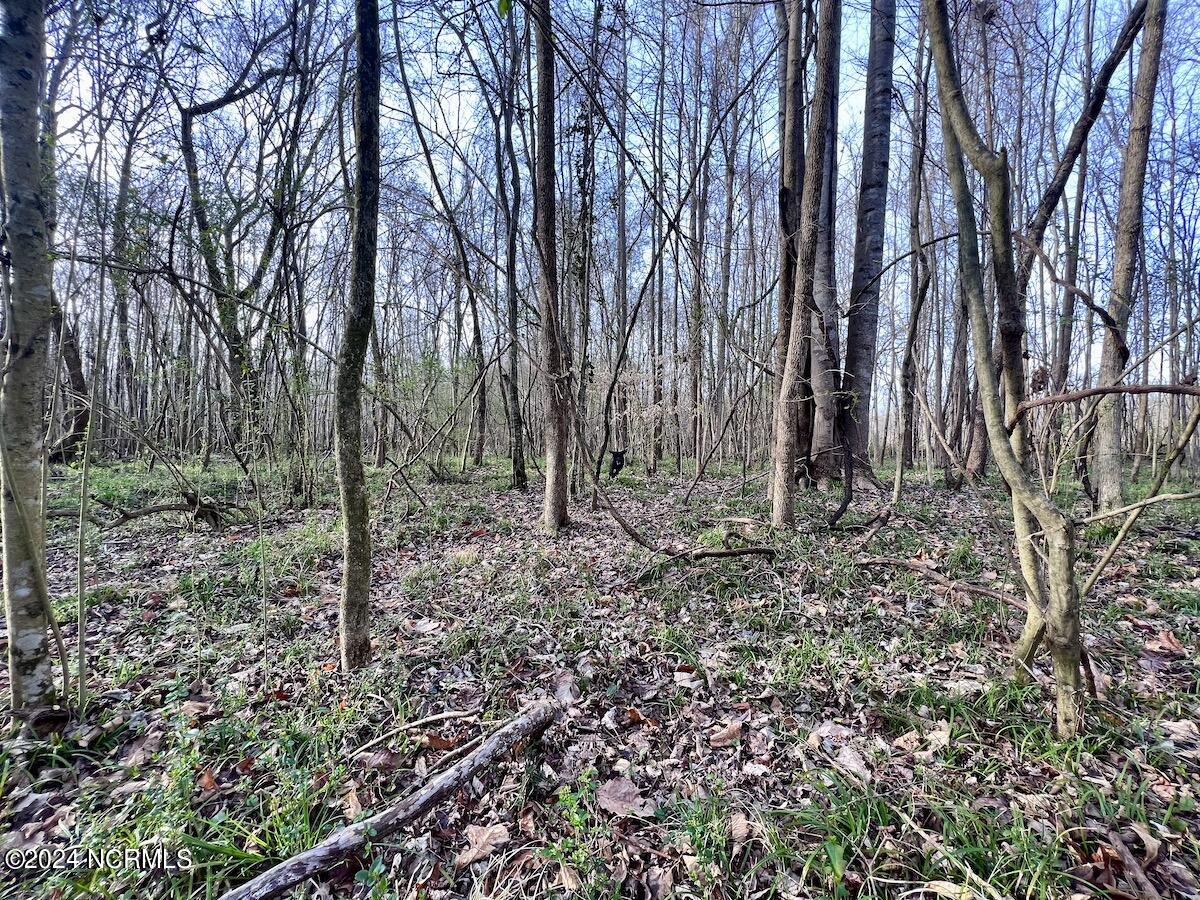 00 Dixon Road Property Photo 10