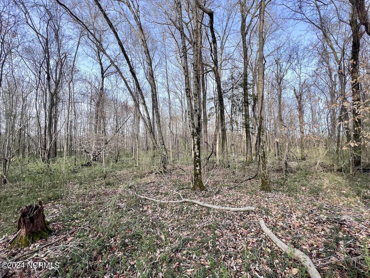 00 Dixon Road Property Photo 16