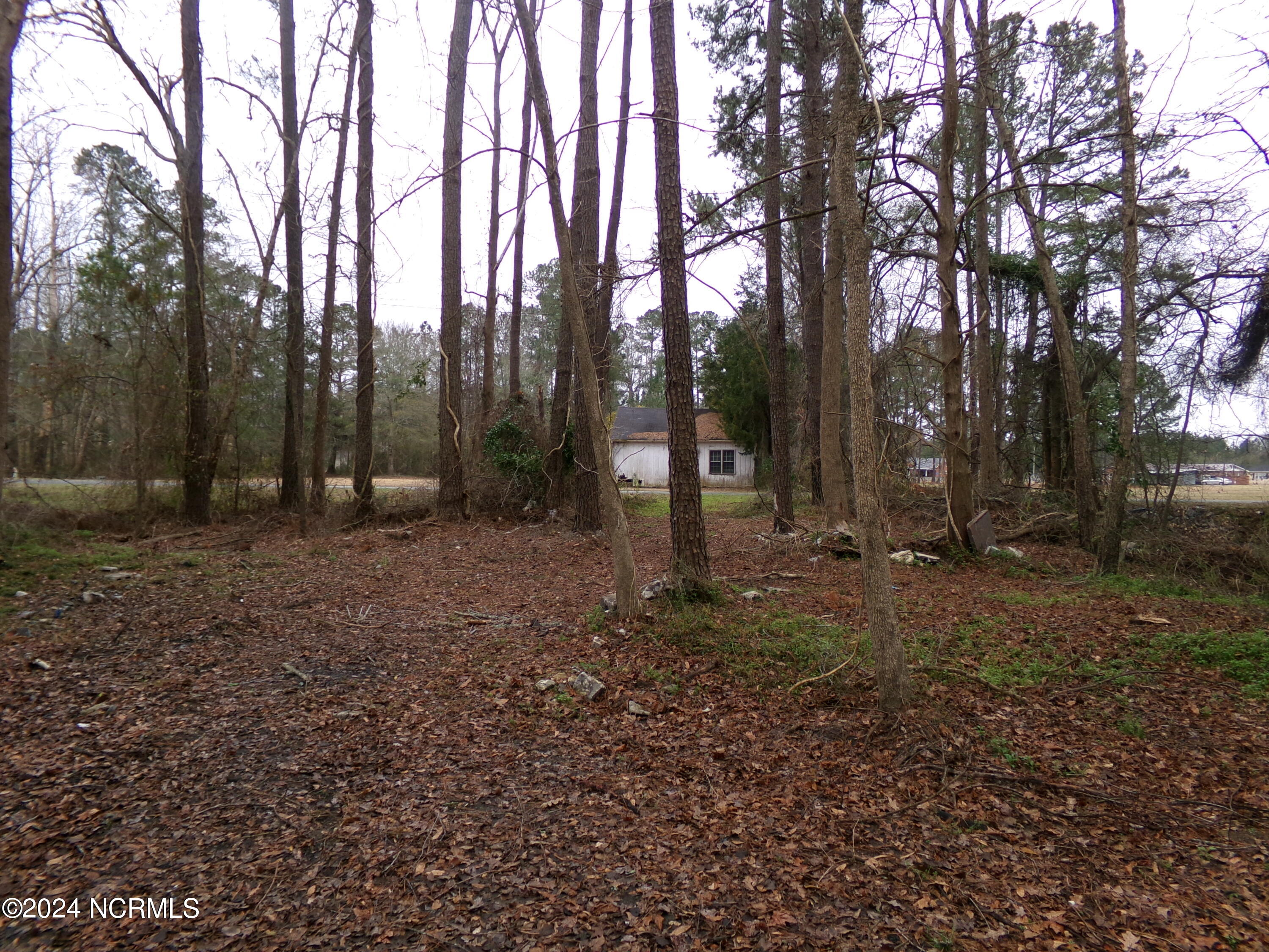 Near 221 Causey Road Property Photo 2