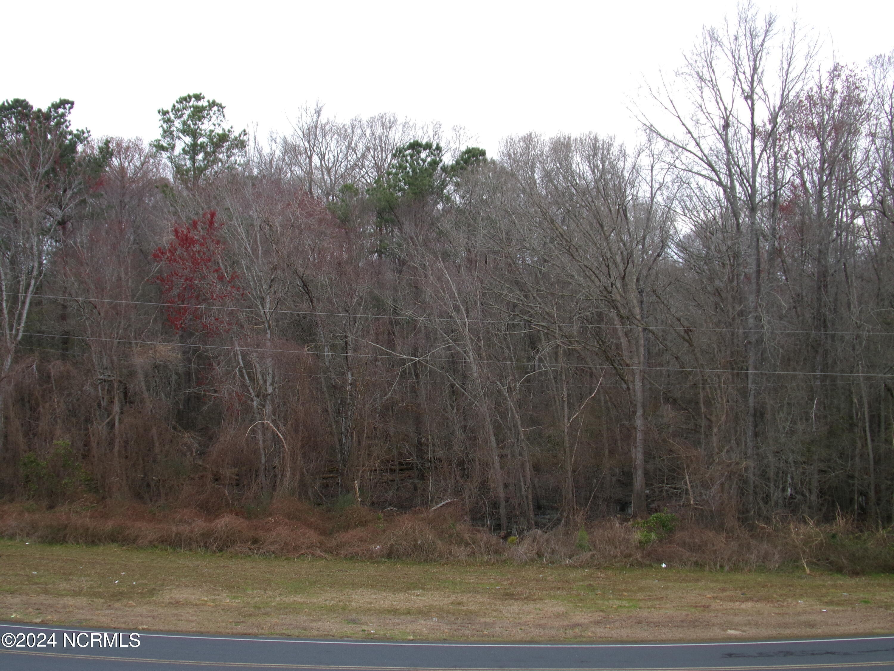 Near 221 Causey Road Property Photo 4