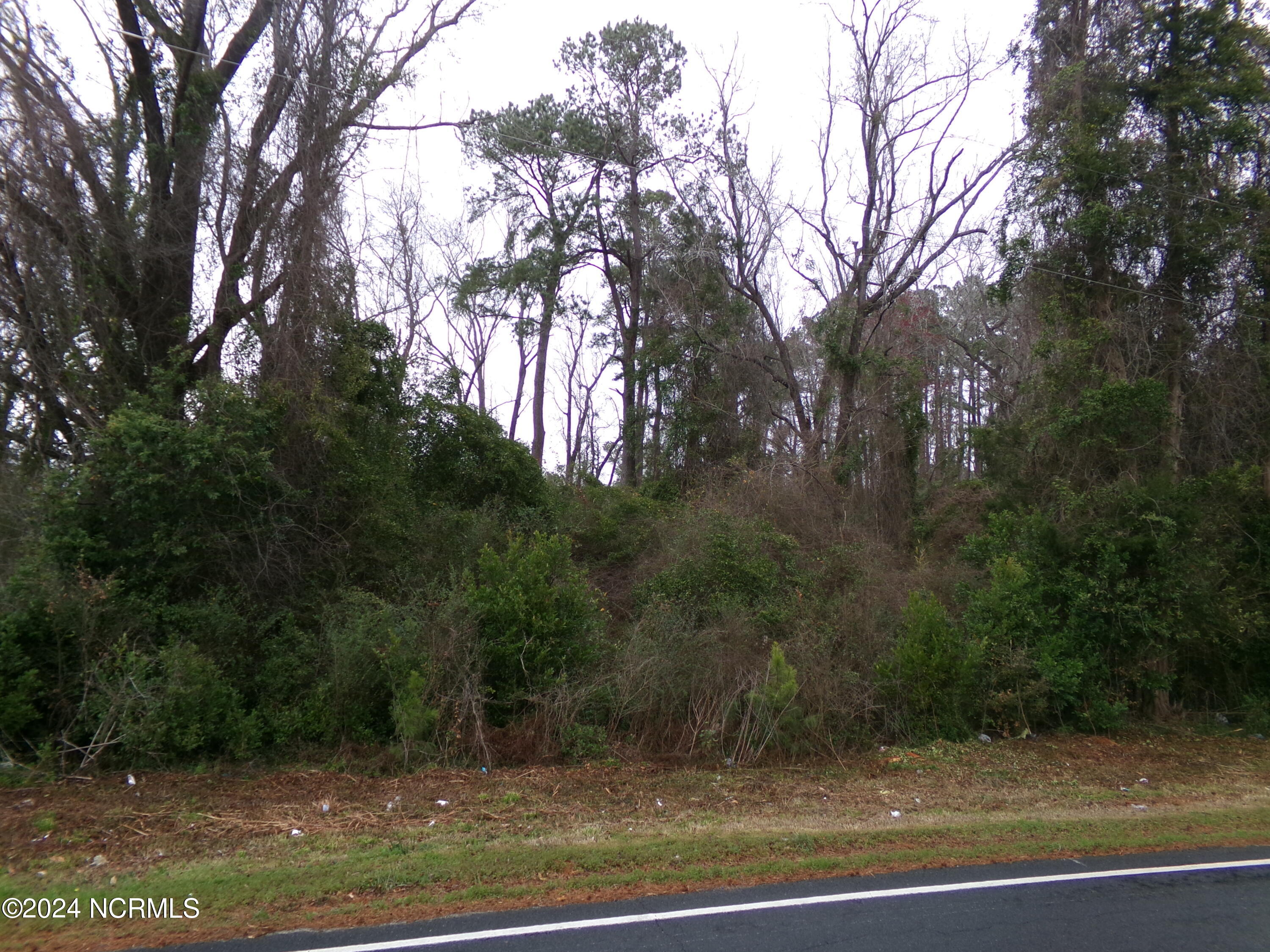 Near 221 Causey Road Property Photo 5