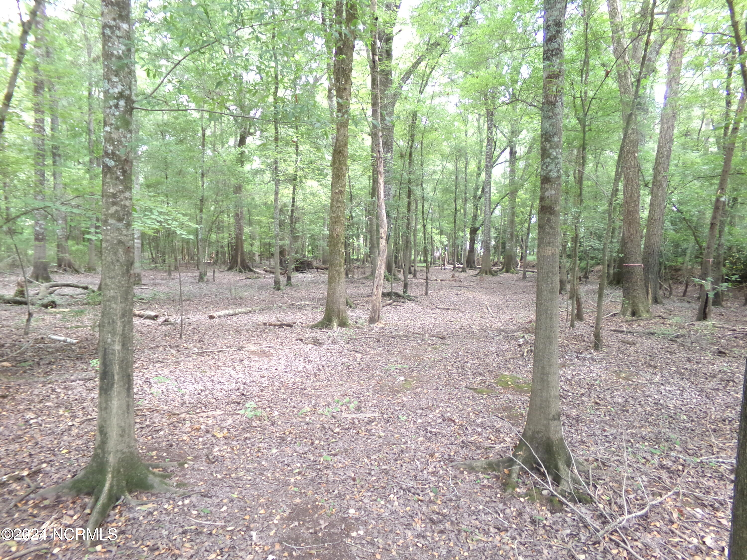 Near 221 Causey Road Property Photo 8