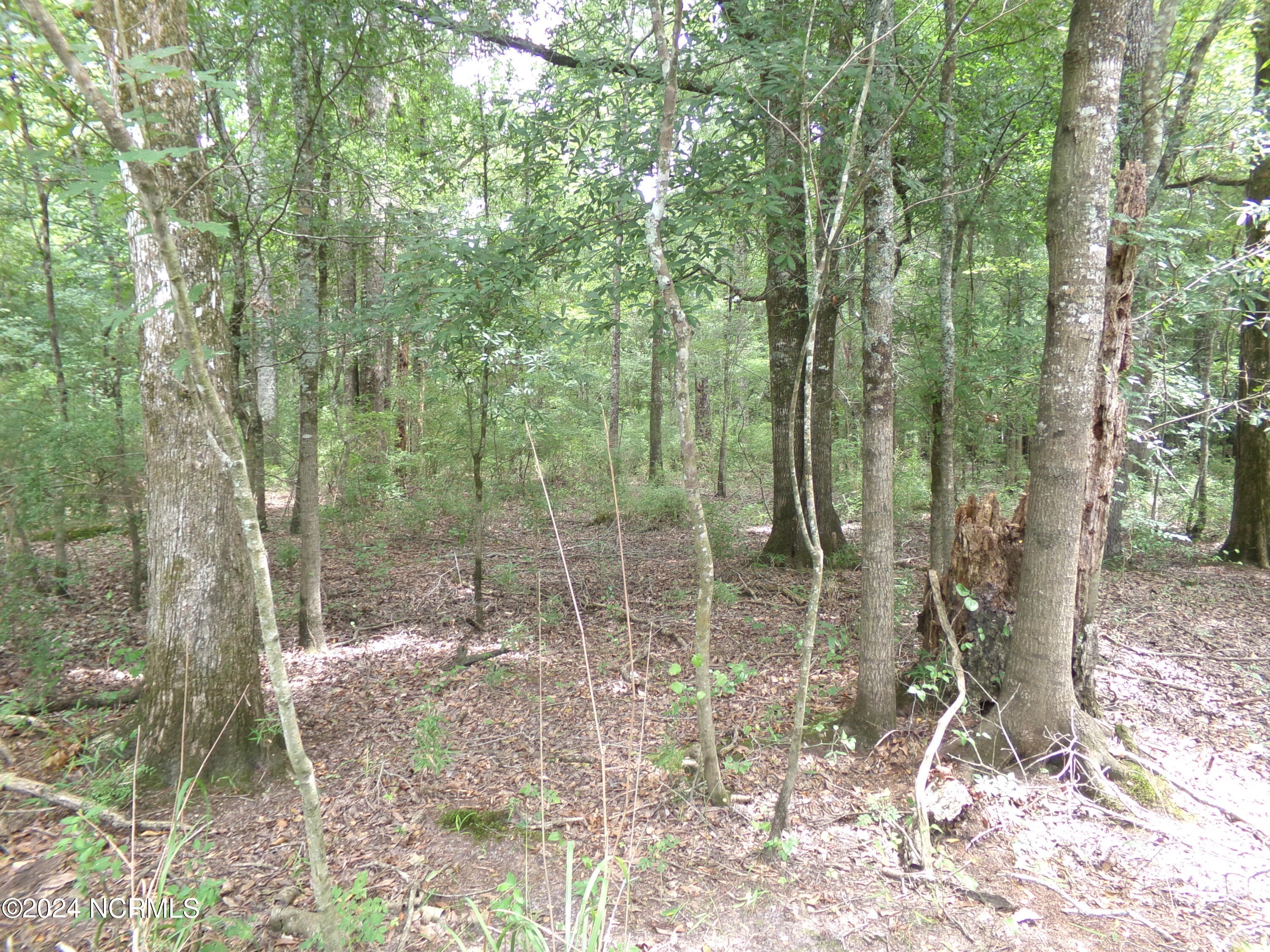 Near 221 Causey Road Property Photo 11