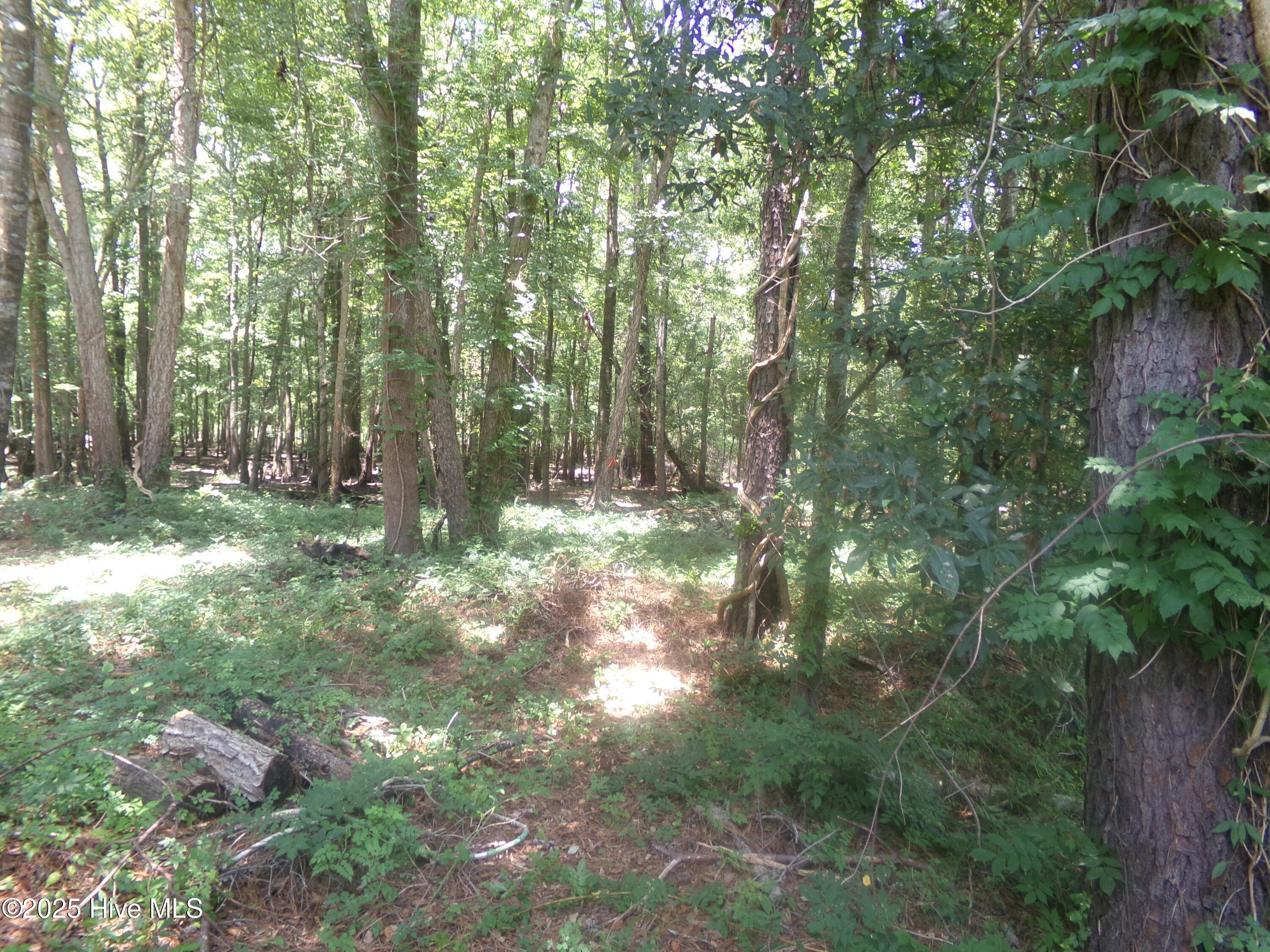 Near 221 Causey Road Property Photo 13