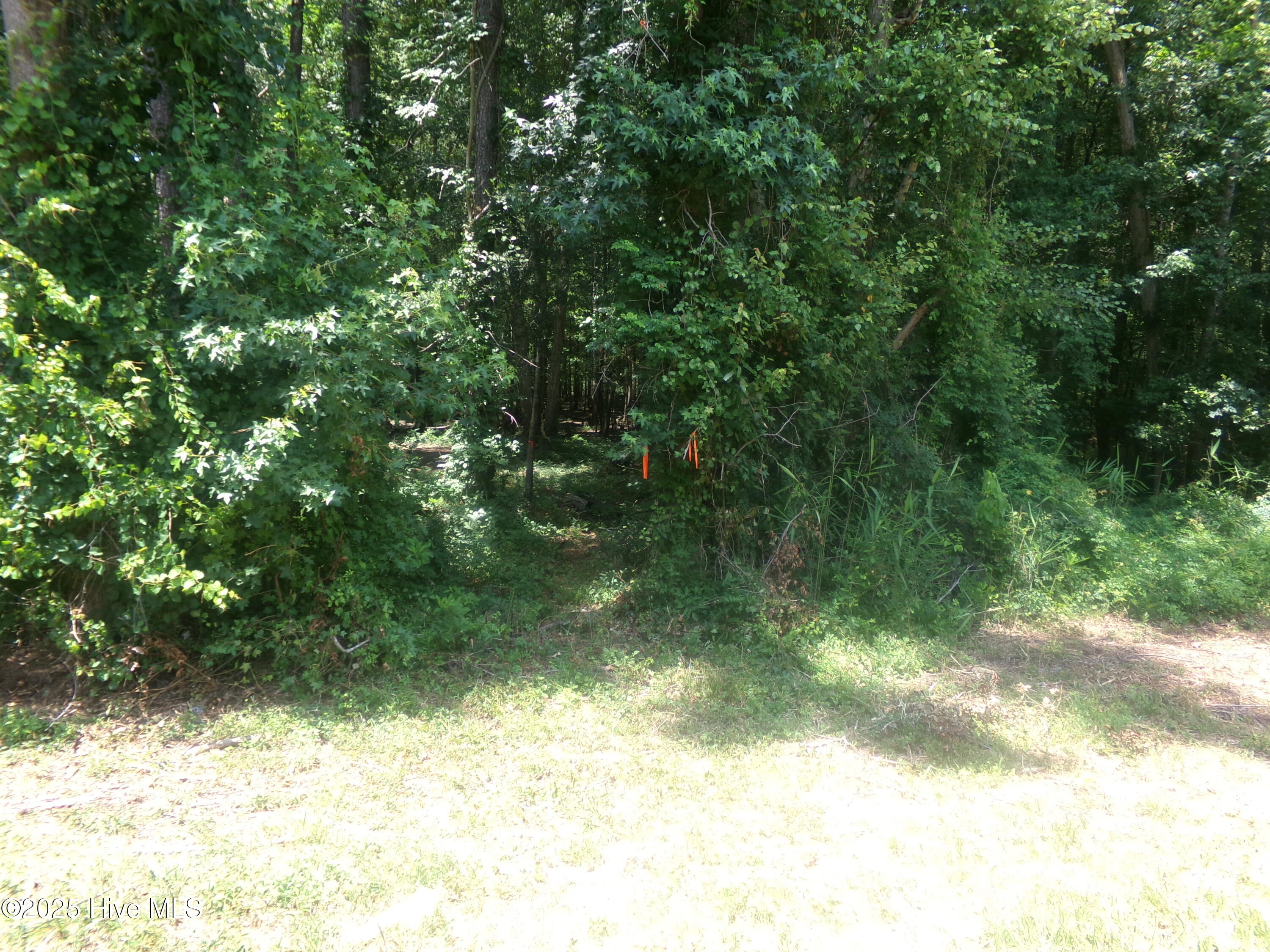 Near 221 Causey Road Property Photo 15