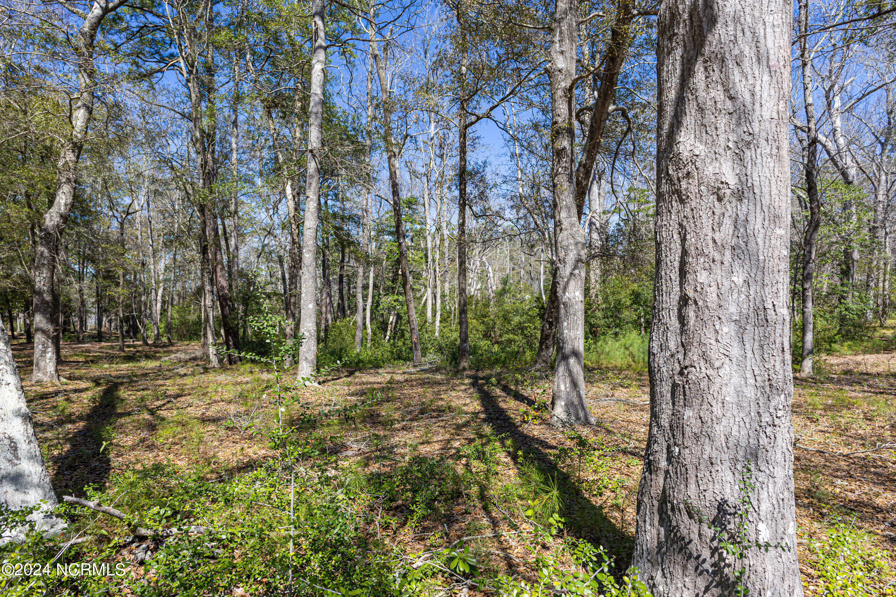 3382 Eagle Crest Dr Drive Property Photo 22