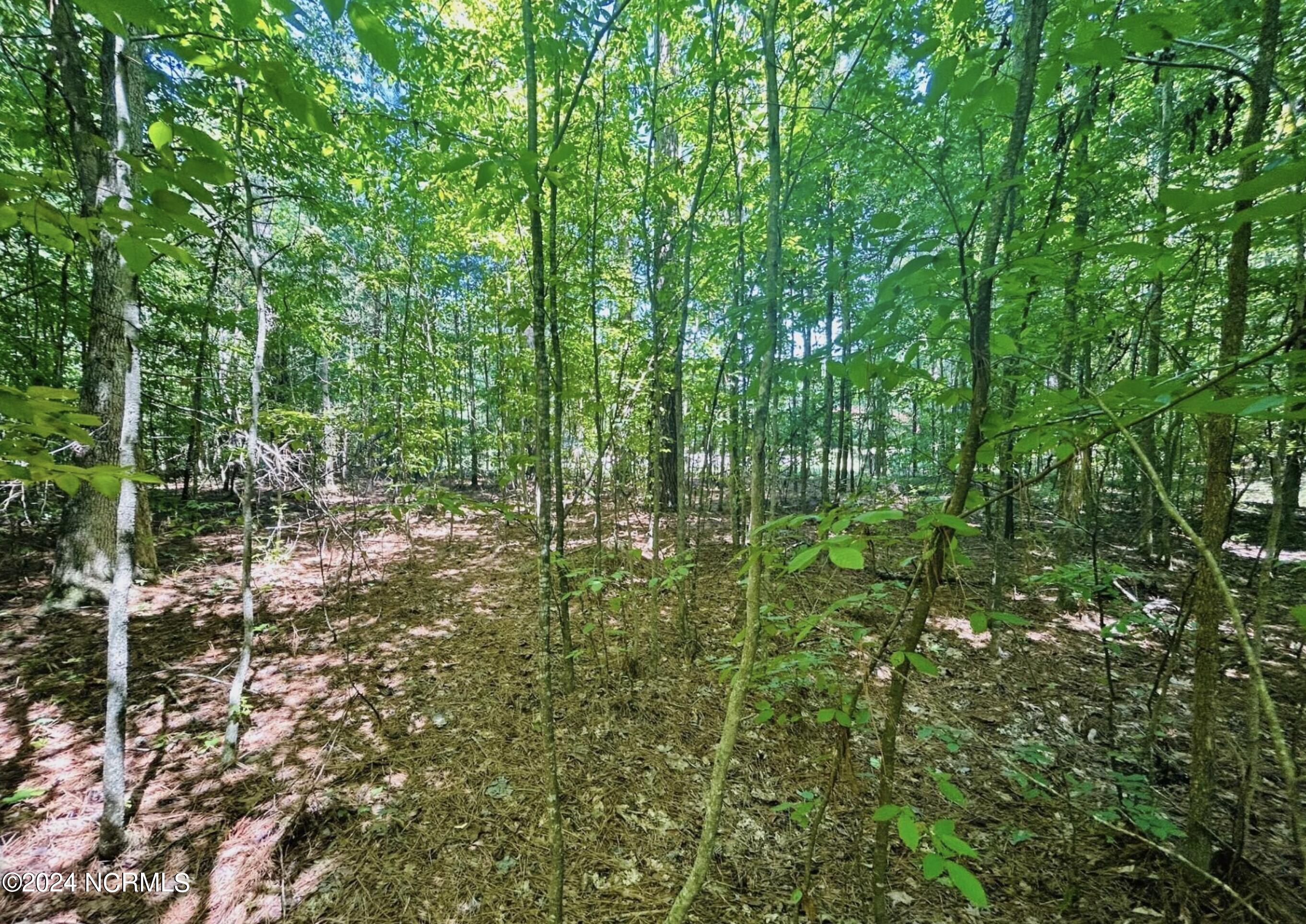 19 Meherrin River Drive Property Photo 3