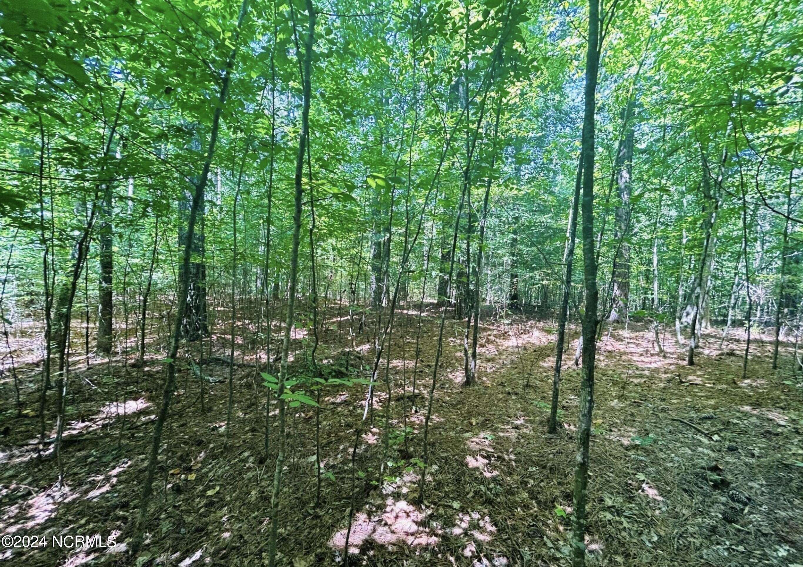 19 Meherrin River Drive Property Photo 4