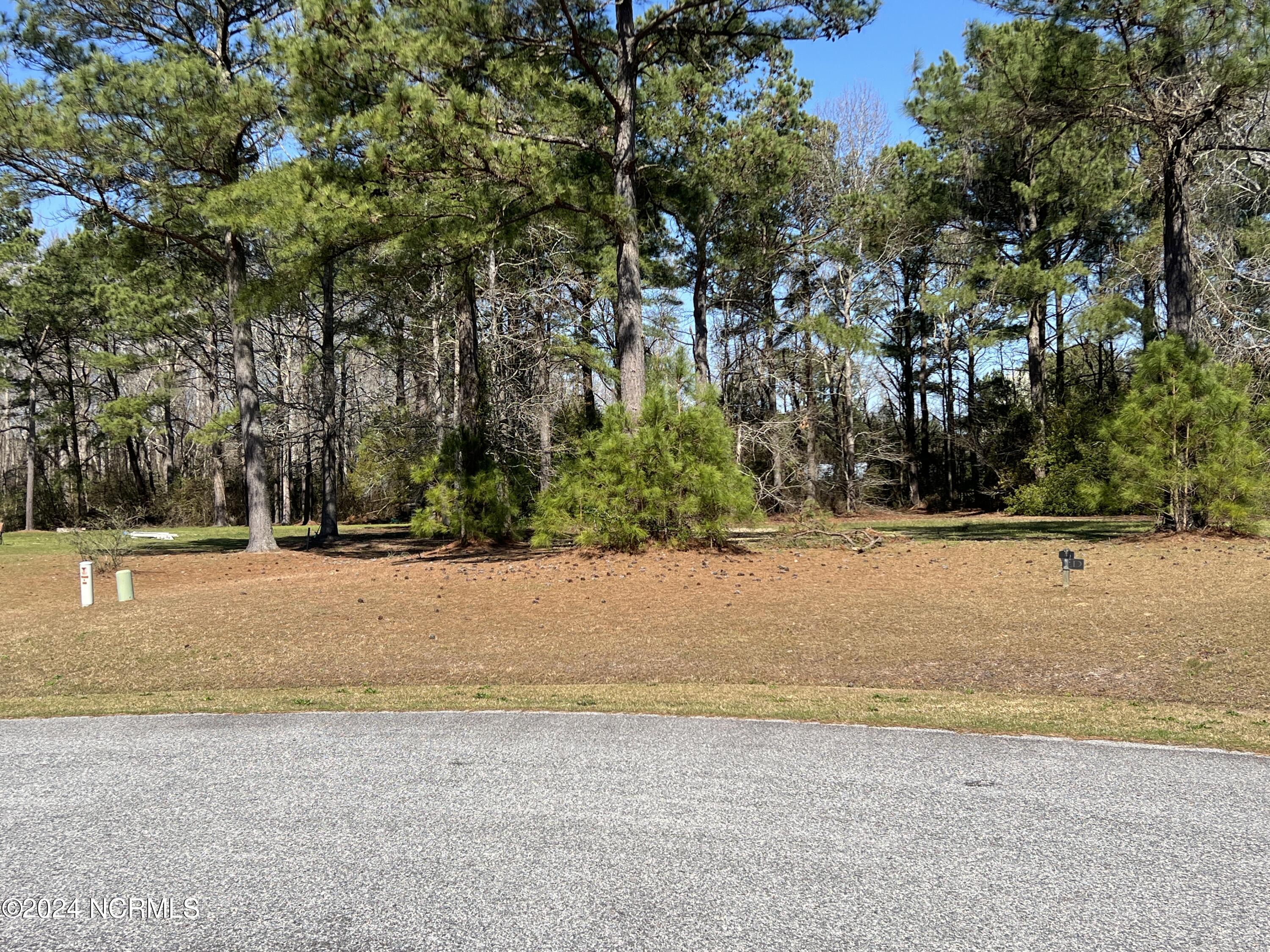 117 Cooper Landing Drive Property Photo