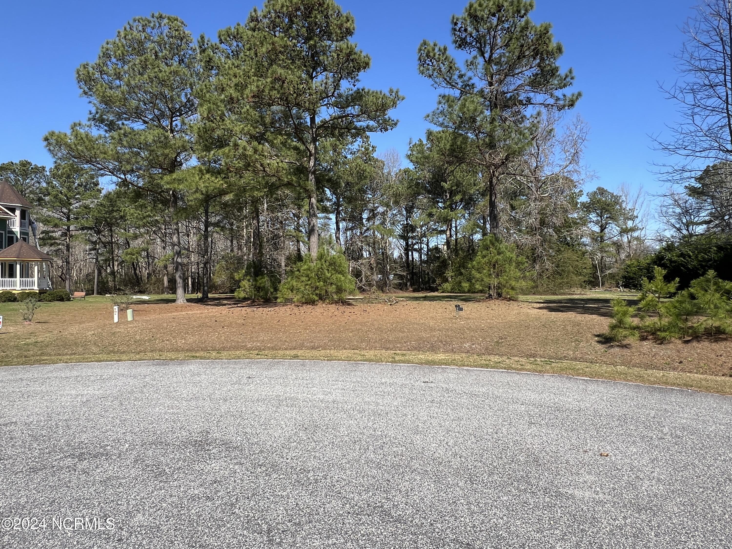 117 Cooper Landing Drive Property Photo 2