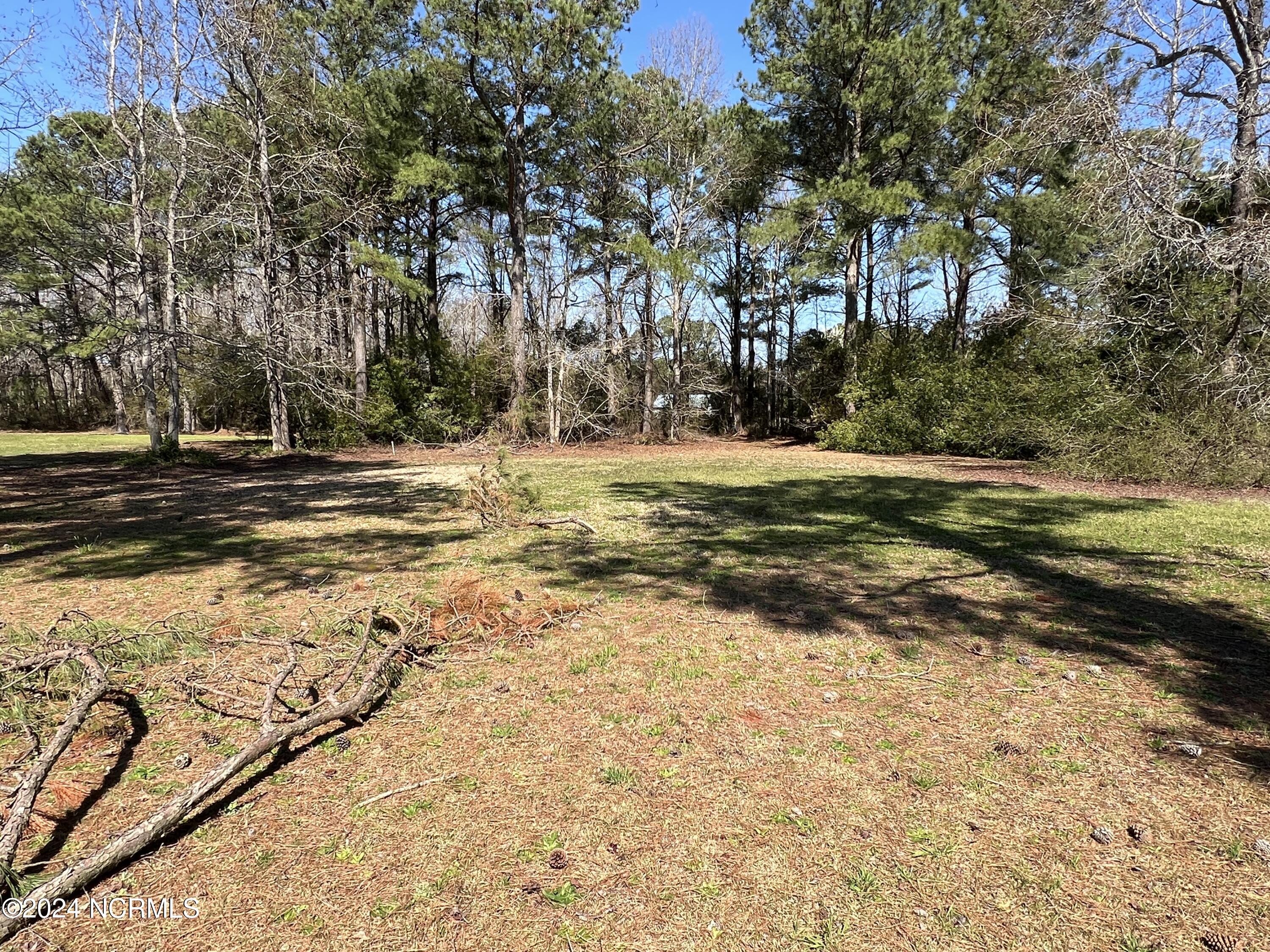 117 Cooper Landing Drive Property Photo 3