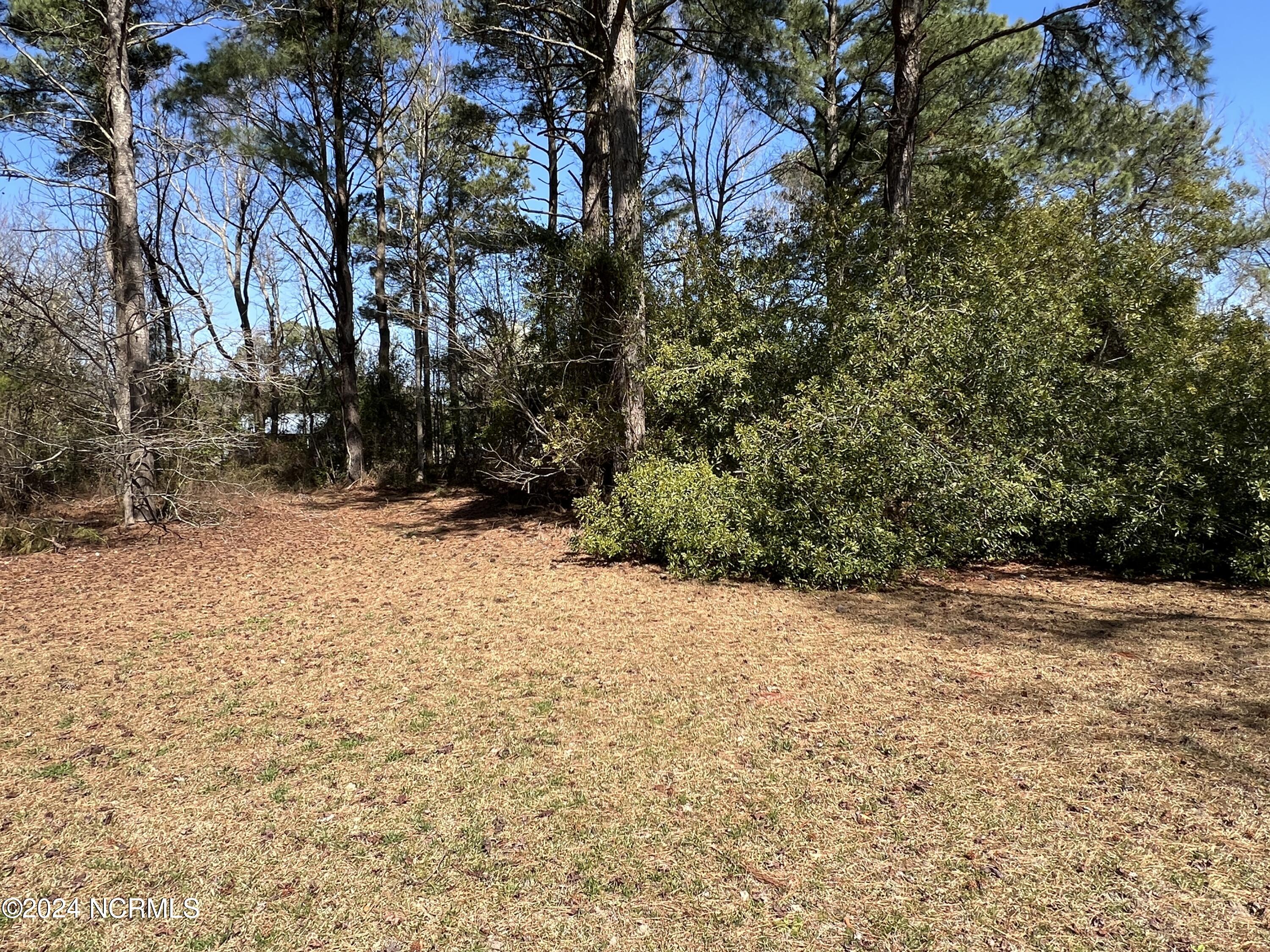 117 Cooper Landing Drive Property Photo 4