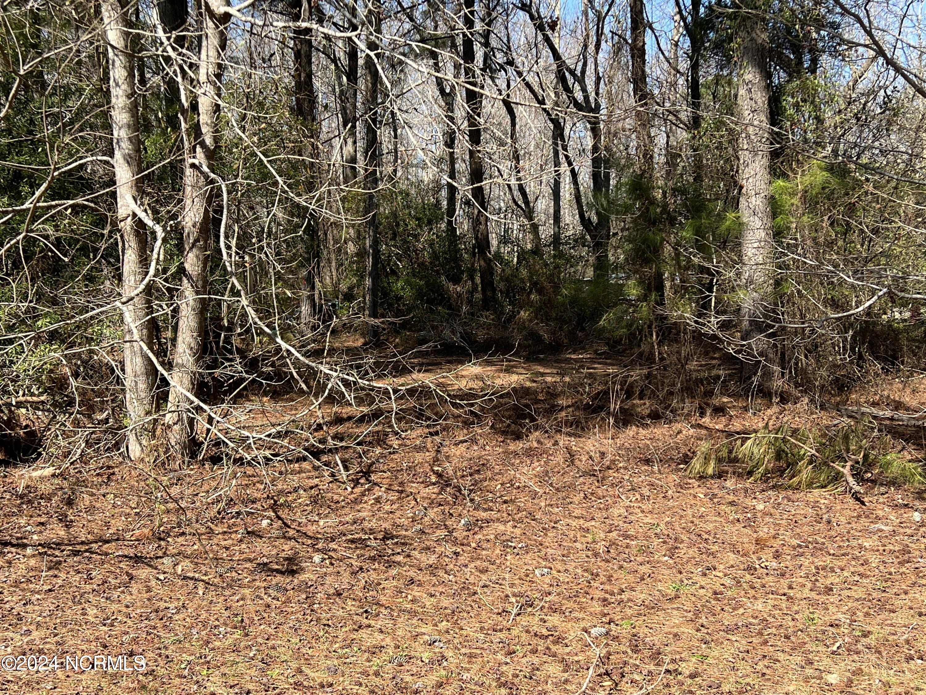 117 Cooper Landing Drive Property Photo 5