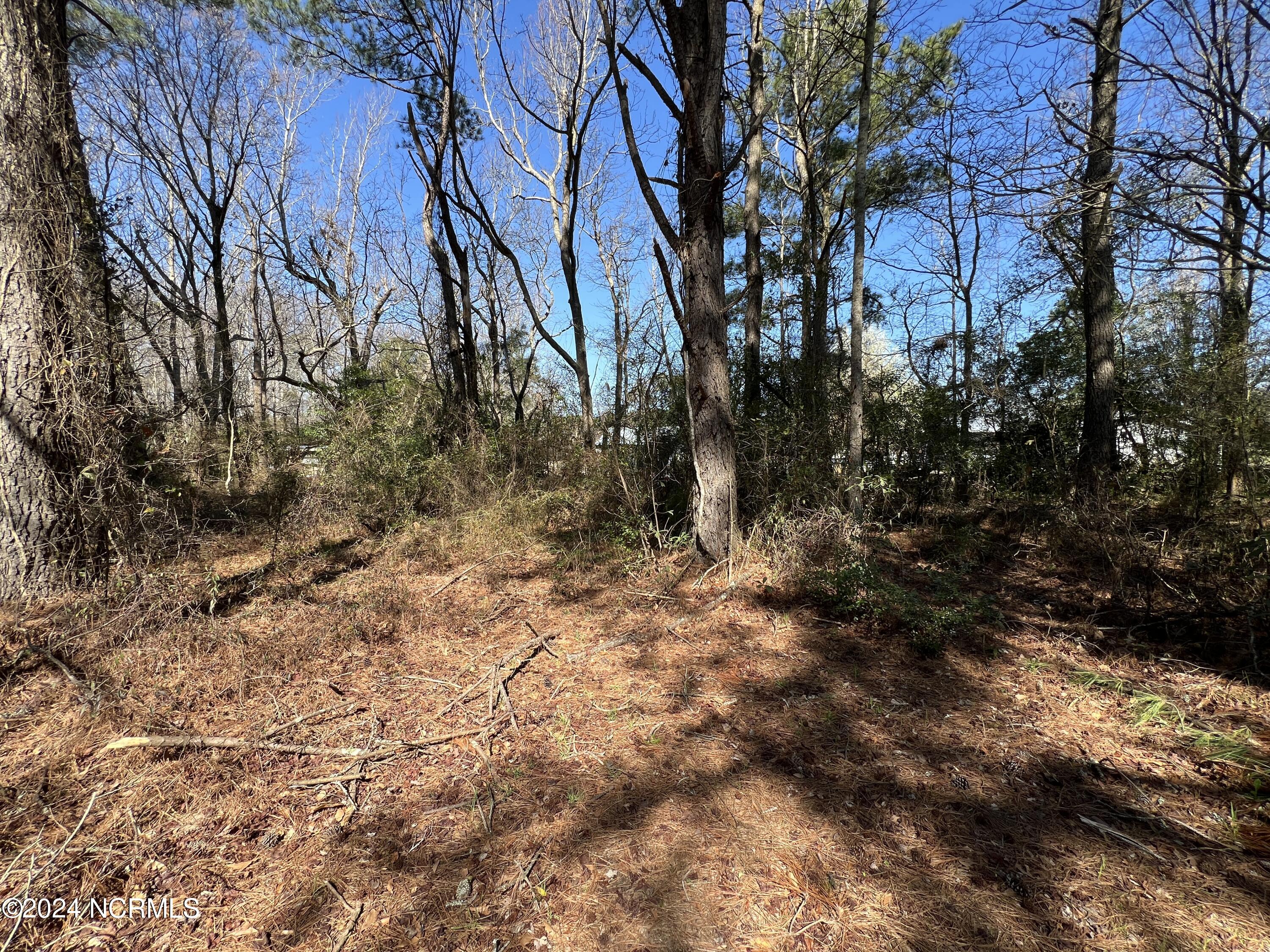 117 Cooper Landing Drive Property Photo 7