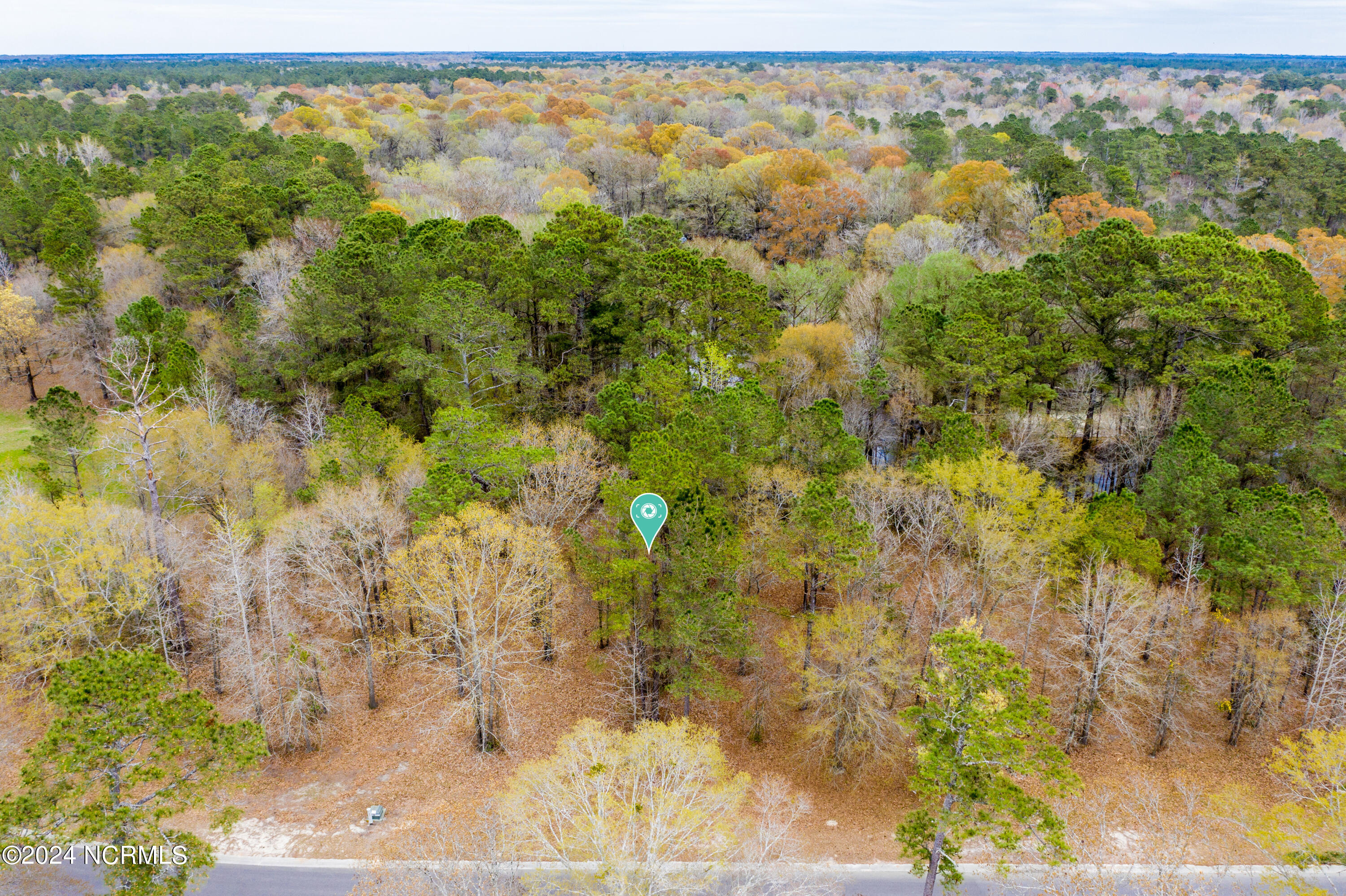 153 River Woods Drive Property Photo 8