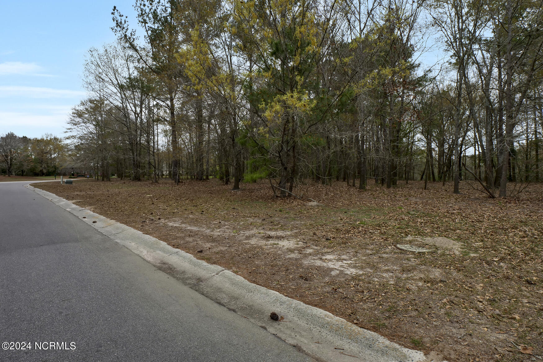 153 River Woods Drive Property Photo 10