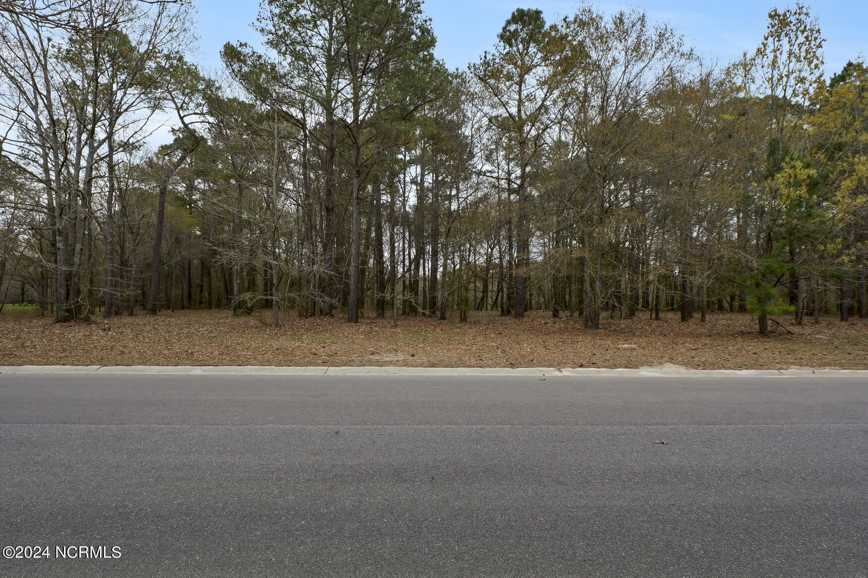 153 River Woods Drive Property Photo 11
