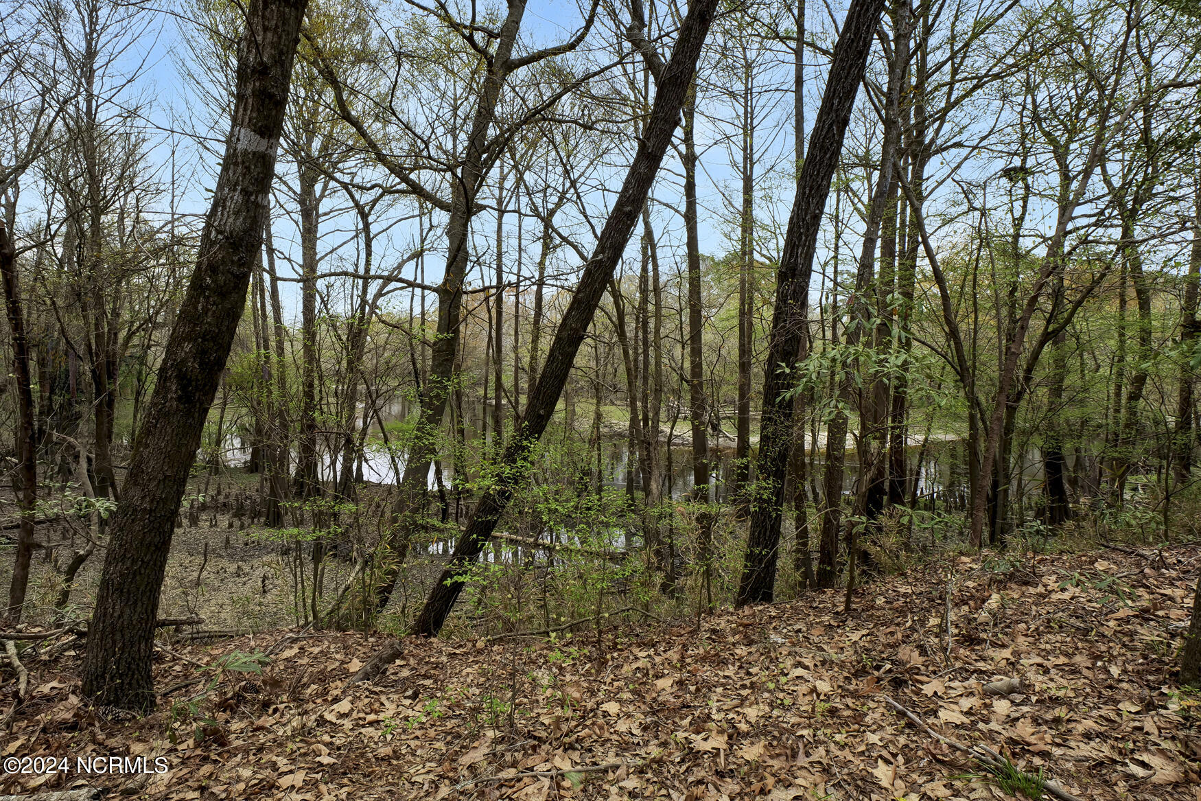 153 River Woods Drive Property Photo 15
