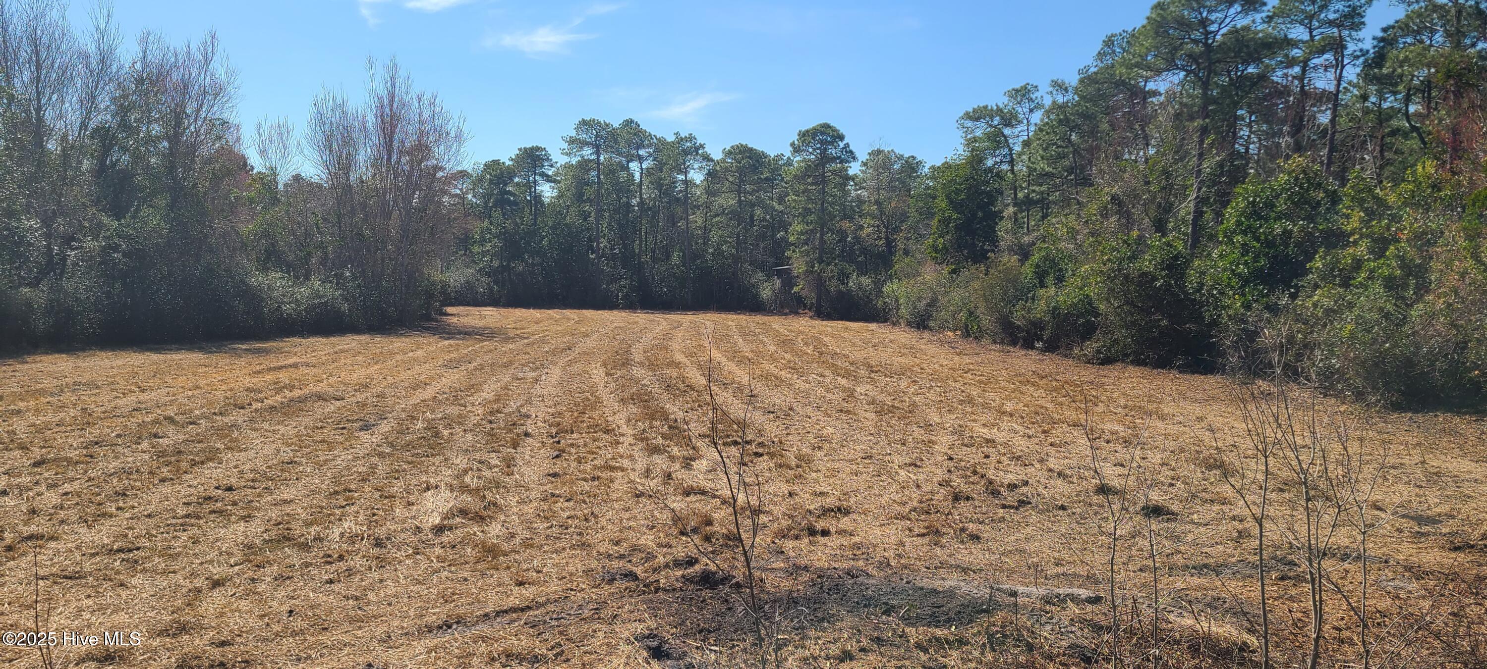 1300 Godwin Road Property Photo 8
