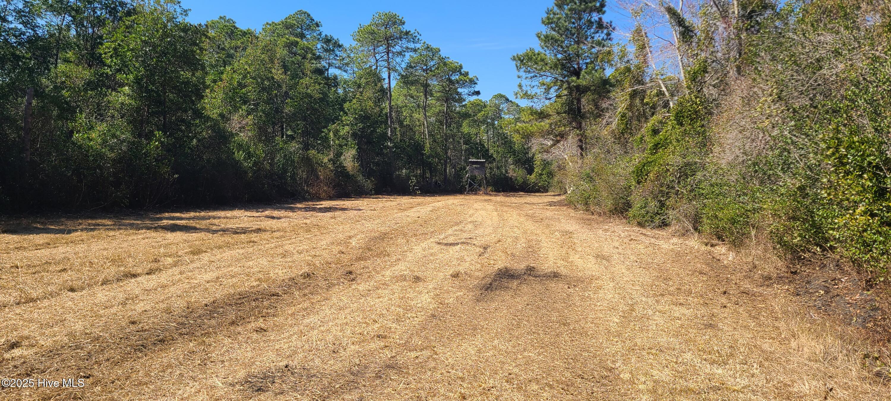1300 Godwin Road Property Photo 9