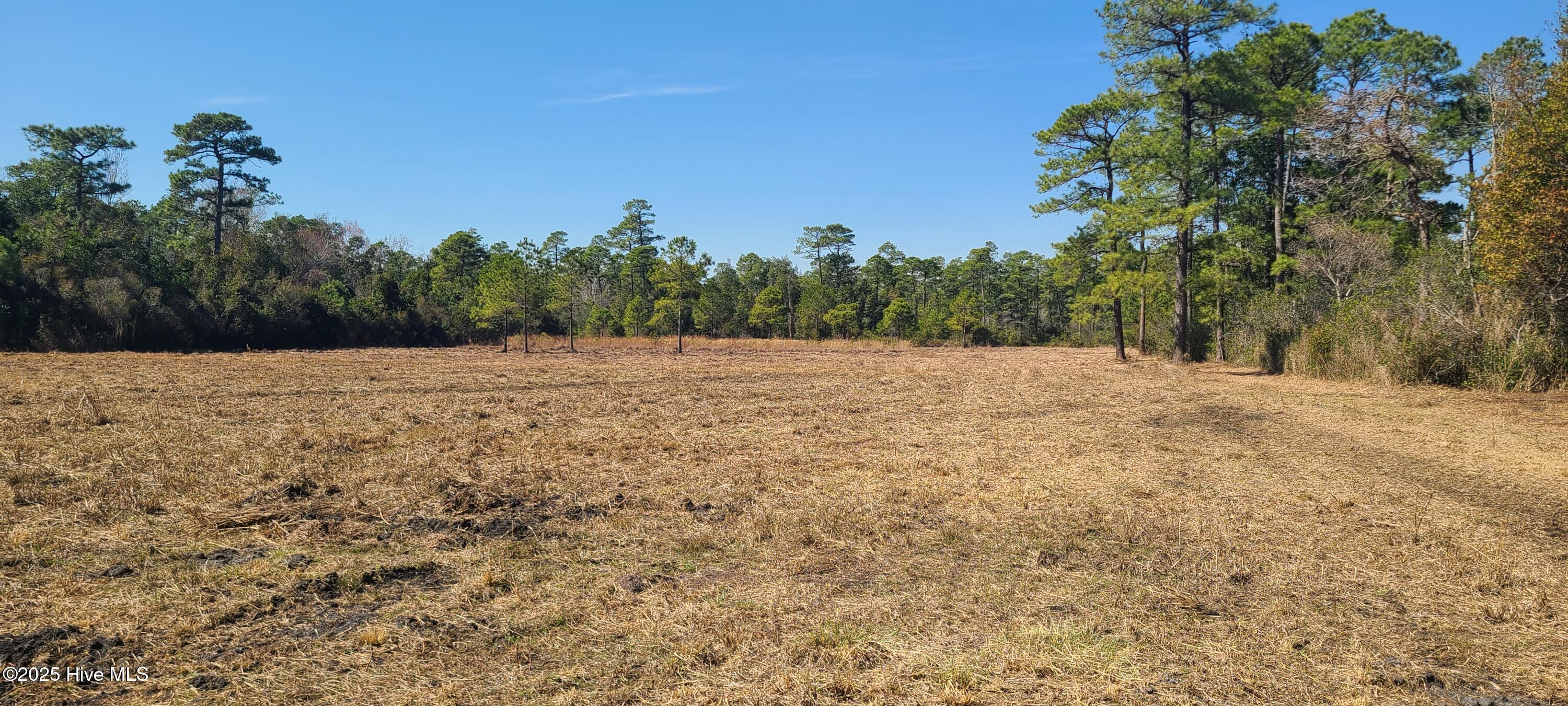 1300 Godwin Road Property Photo 11