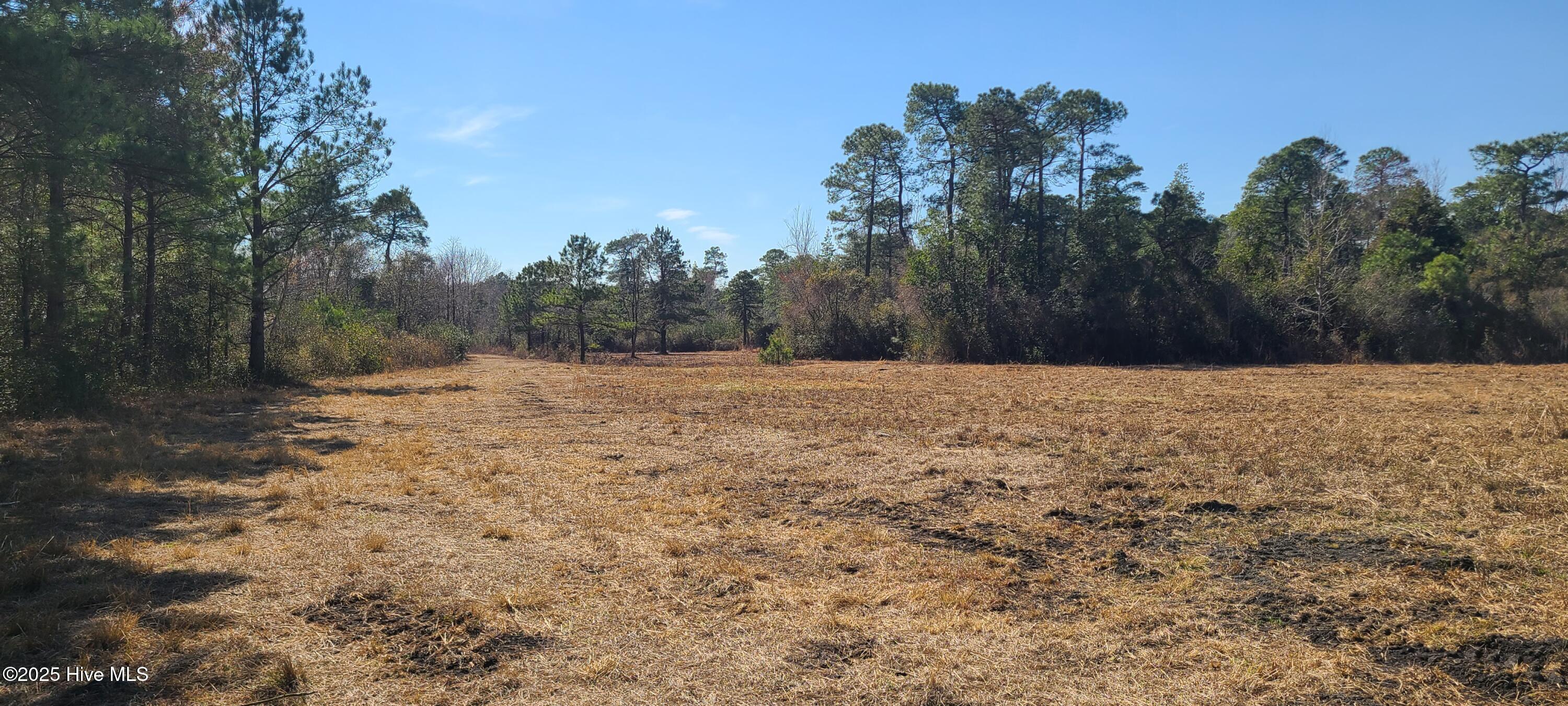 1300 Godwin Road Property Photo 12