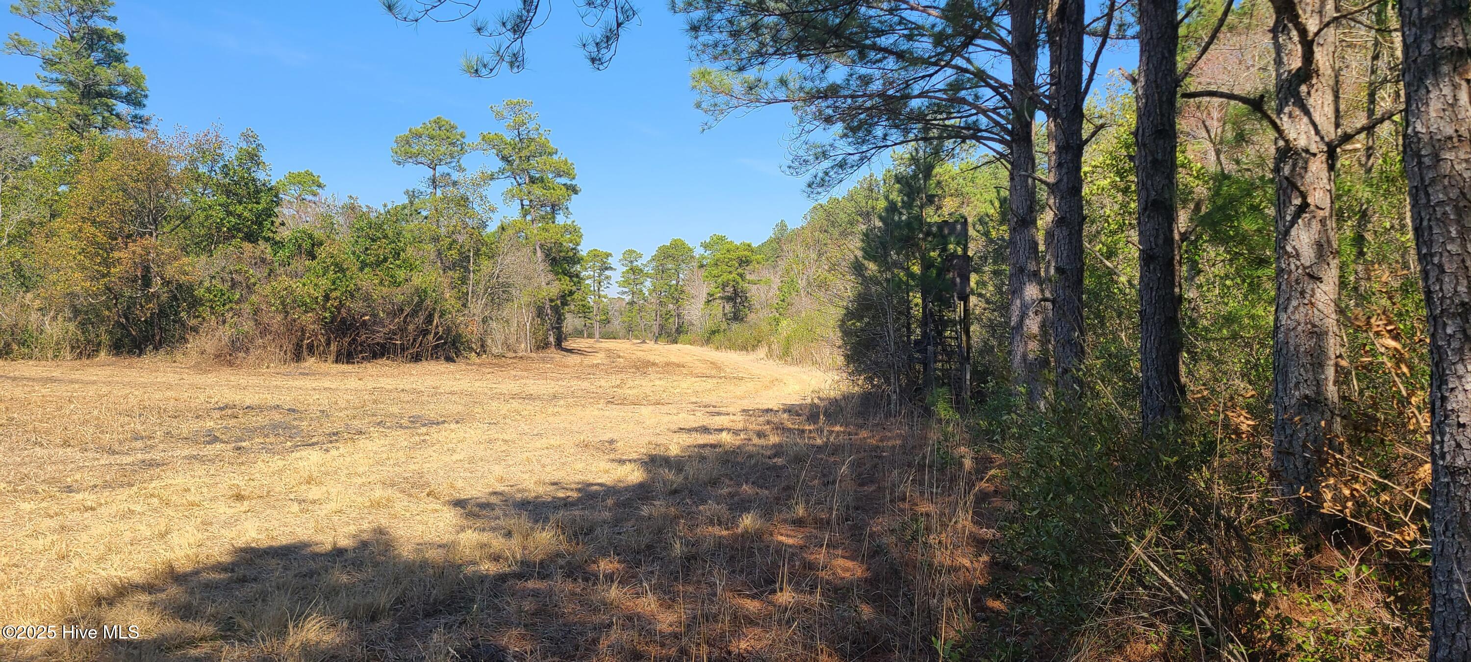 1300 Godwin Road Property Photo 13