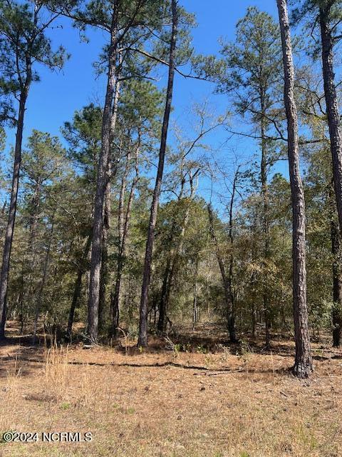 6686 Mossey Run Drive Property Photo 2