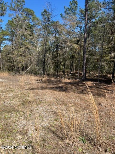 6686 Mossey Run Drive Property Photo 6
