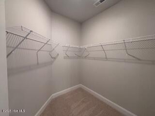 118 Firethorn Circle Property Photo 18