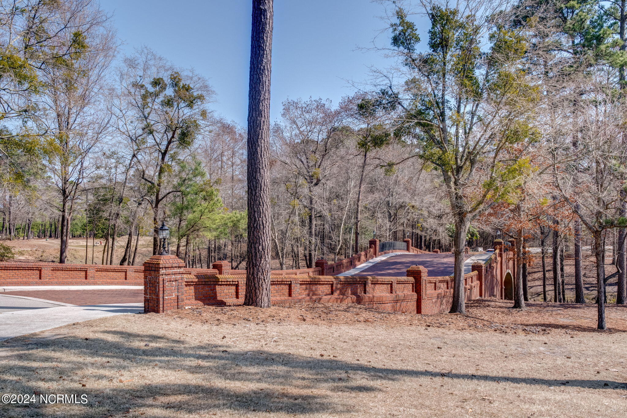 118 Firethorn Circle Property Photo 38