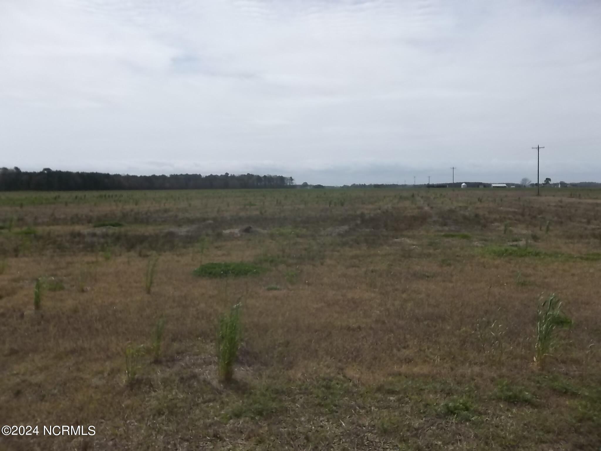 1120 Griff Lane Property Photo 1