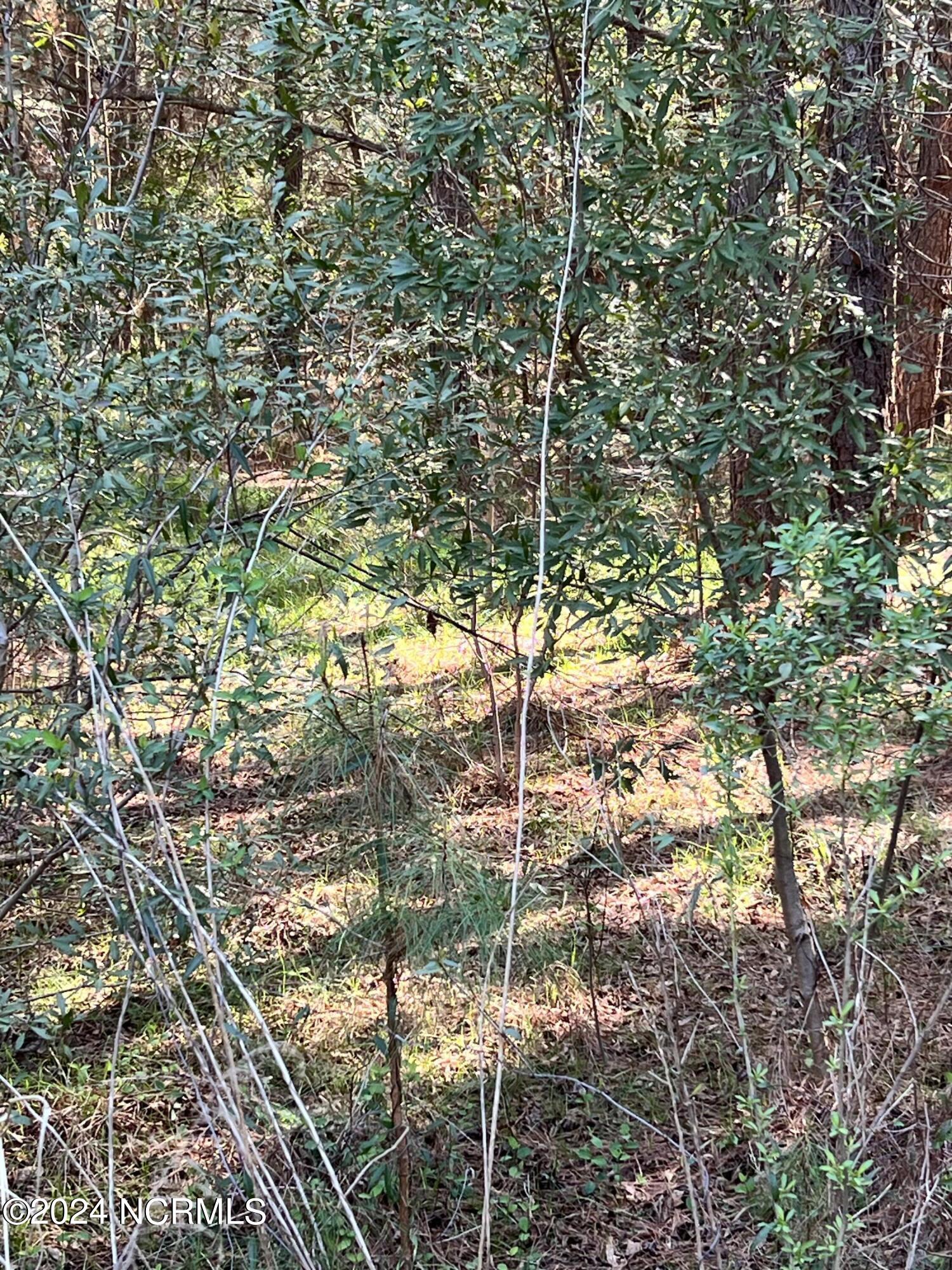 Lot 6 Treasure Cay Drive Property Photo 10