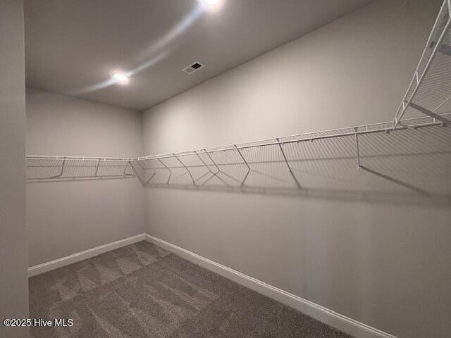126 Firethorn Circle Property Photo 22