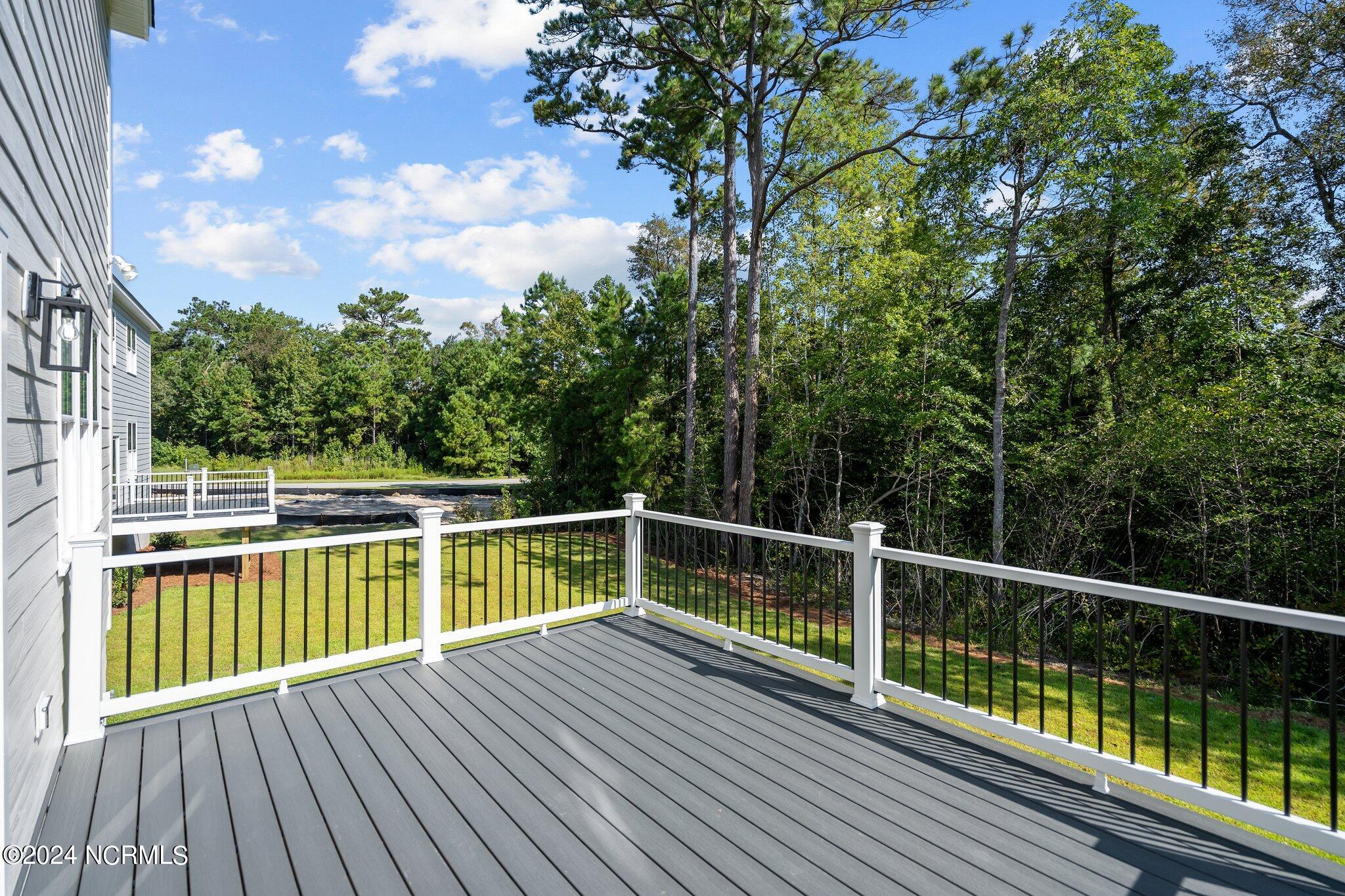 4881 Scarlet Sage Way Property Photo 32