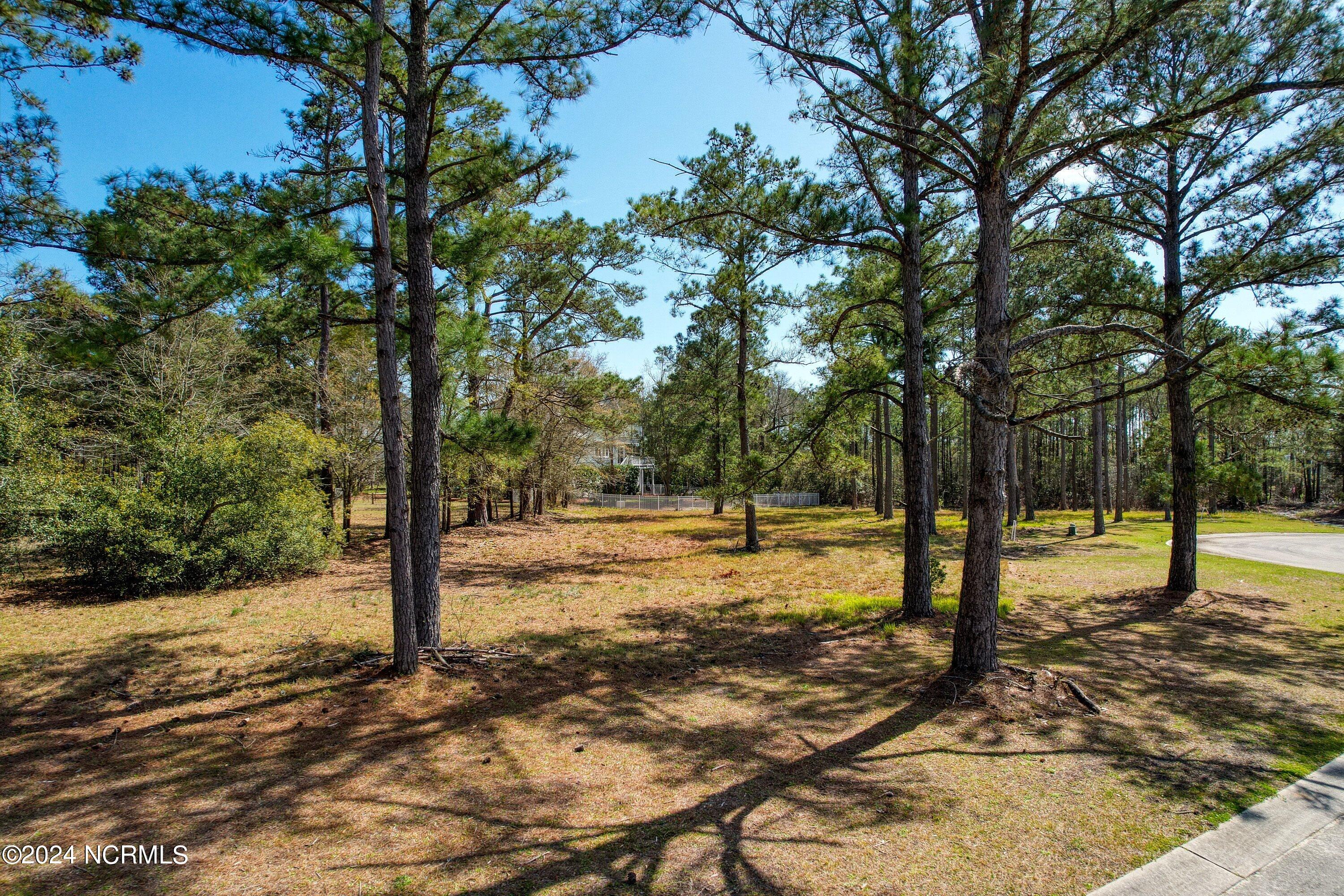 3395 Turnbuckle Lane Property Photo 7