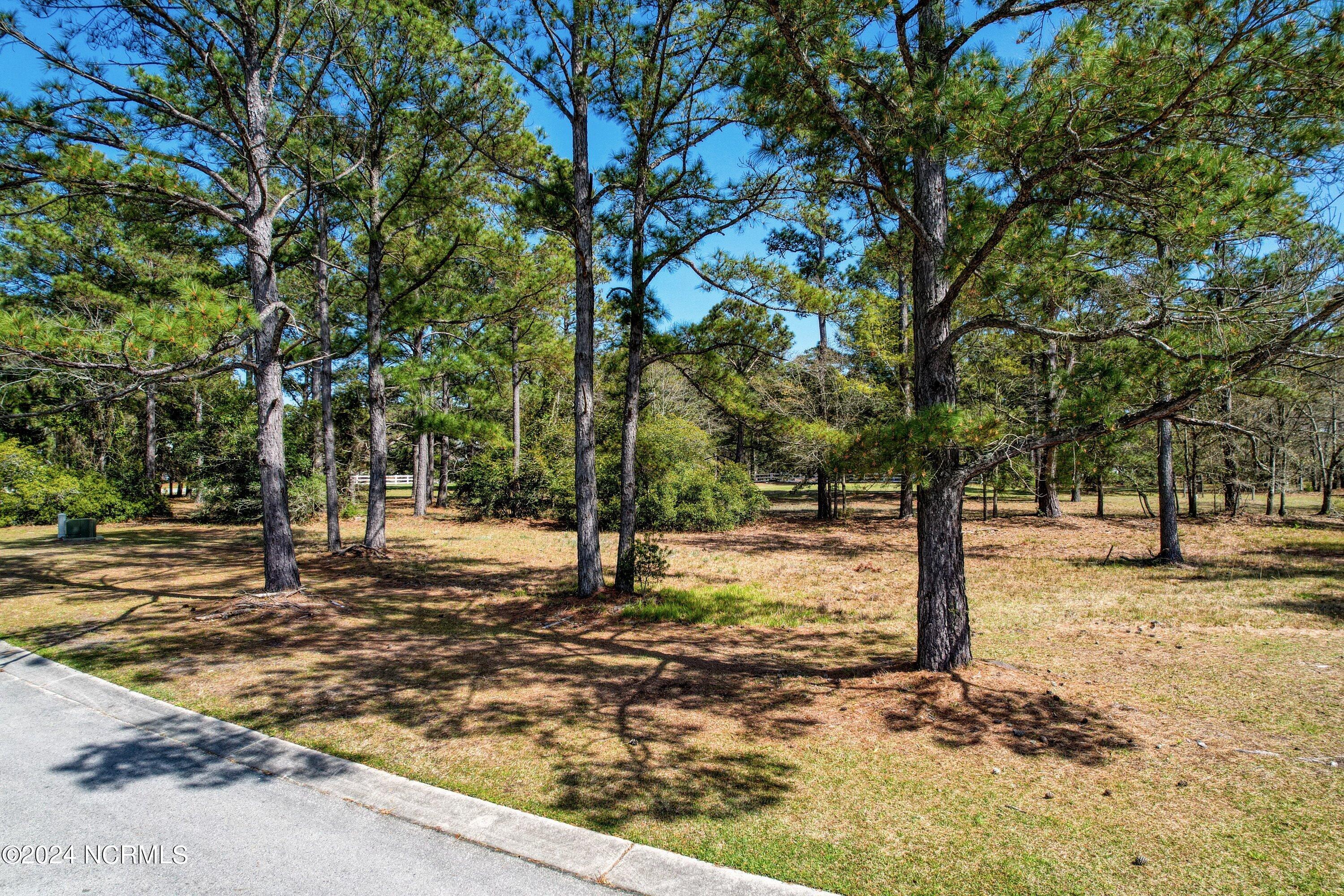 3395 Turnbuckle Lane Property Photo 10