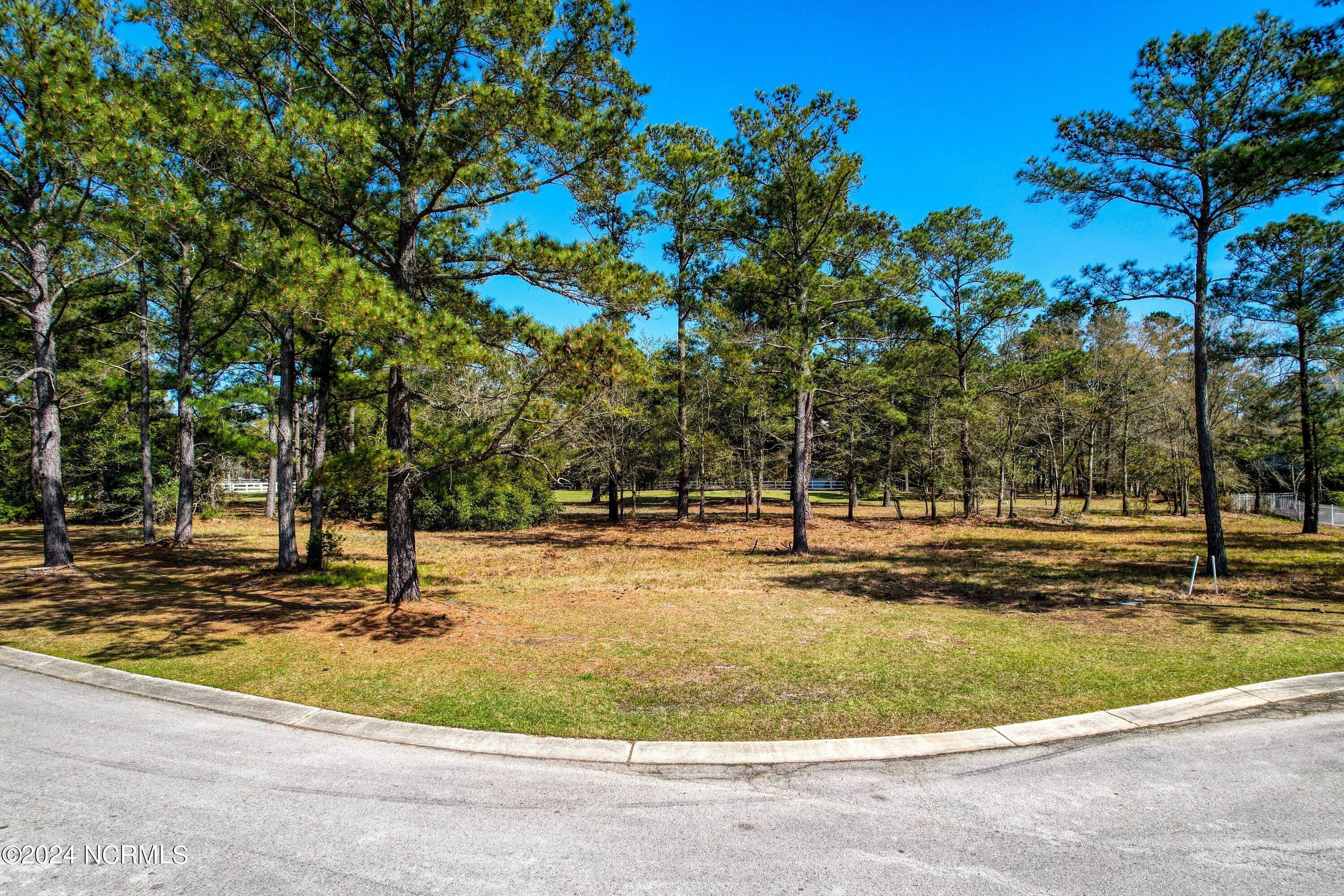 3395 Turnbuckle Lane Property Photo 11