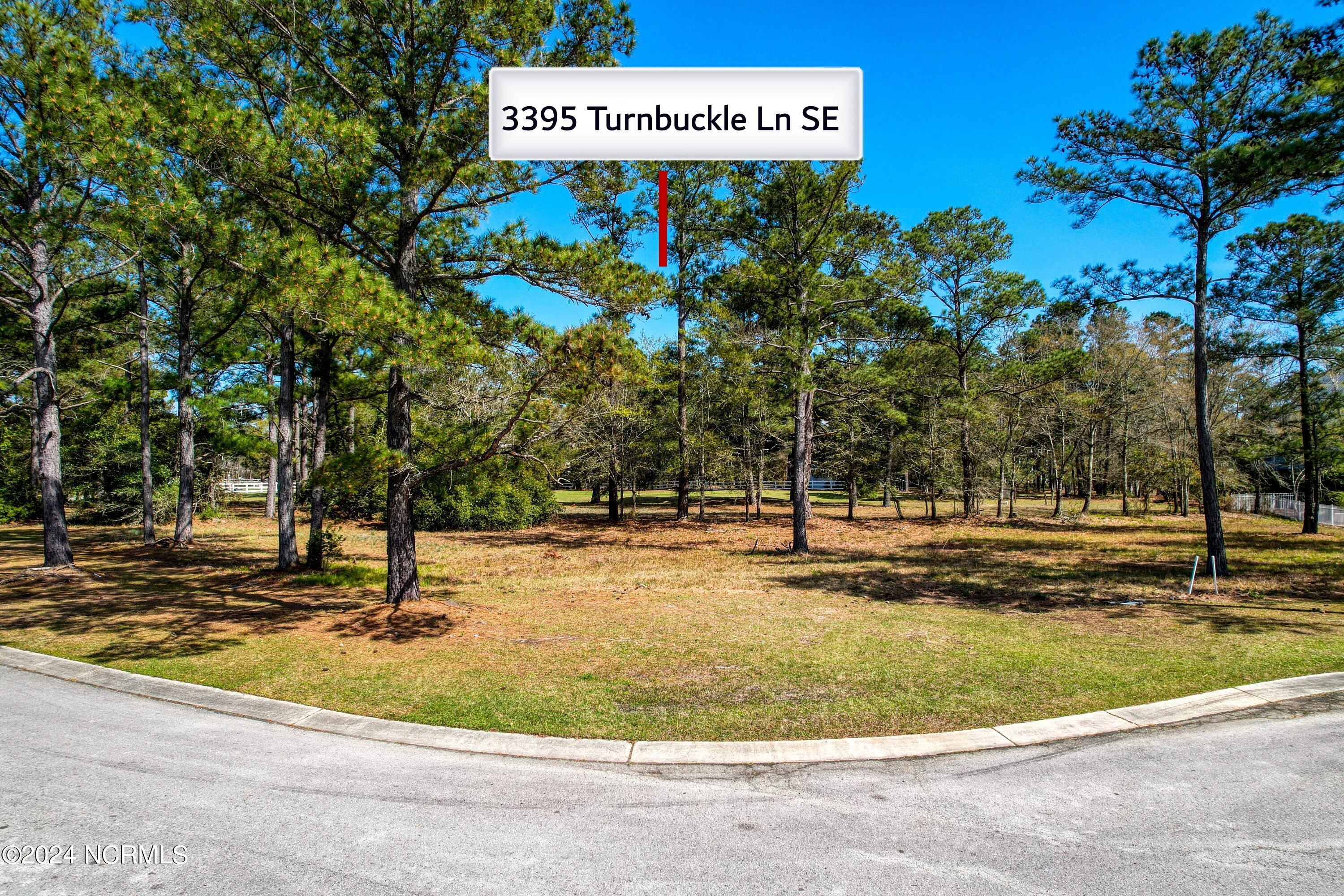 3395 Turnbuckle Lane Property Photo 12